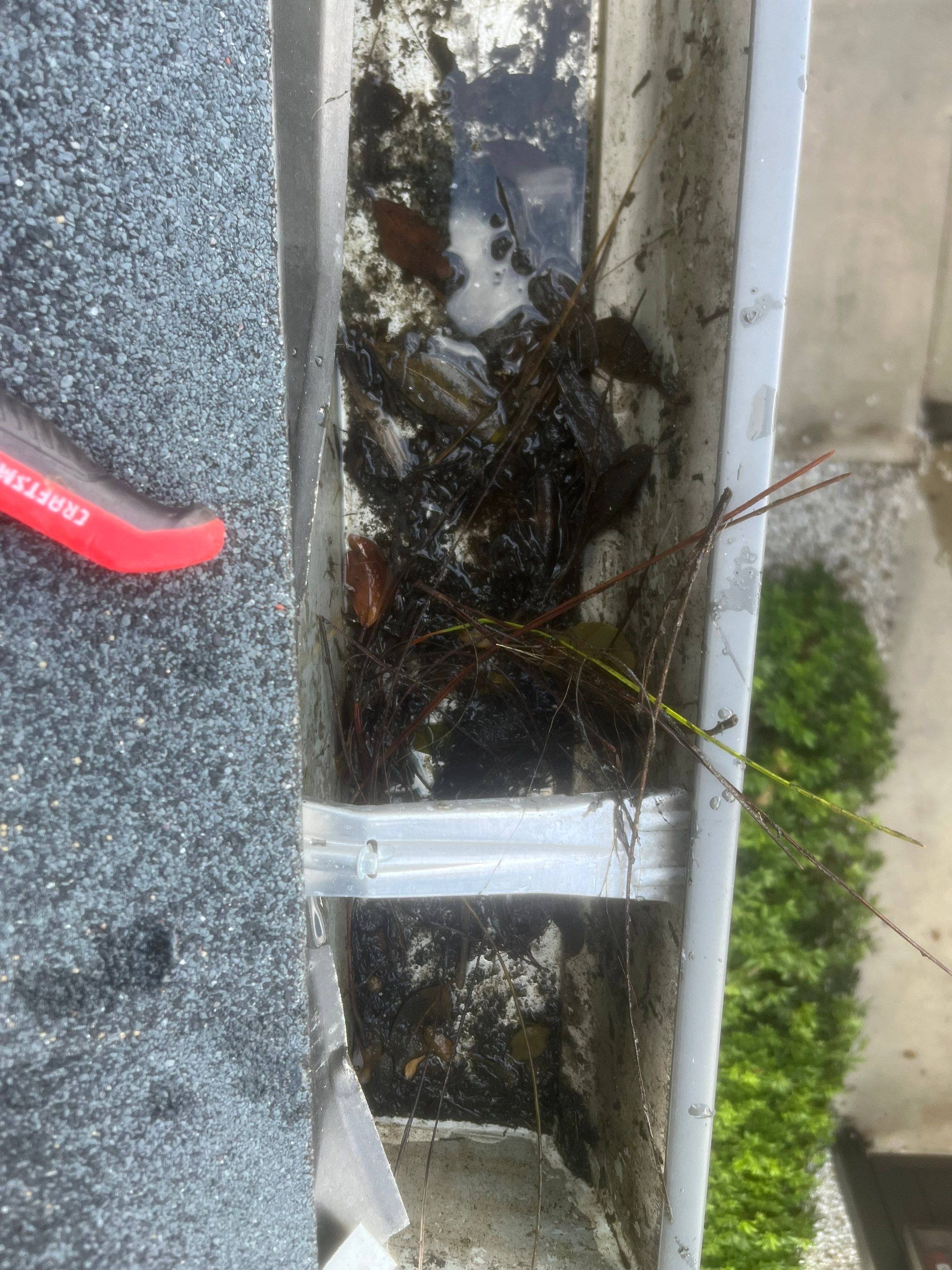 Professional Gutter Cleaning in Fort Myers FL by Gutter Professors