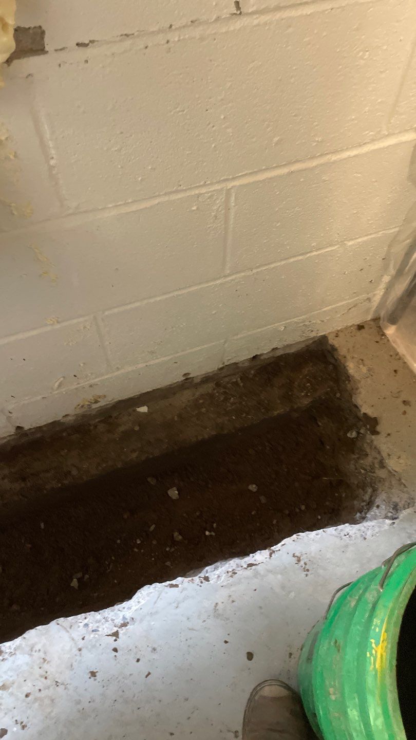 Targeted Drain Tile for Annie by Waterproofing Northeast
