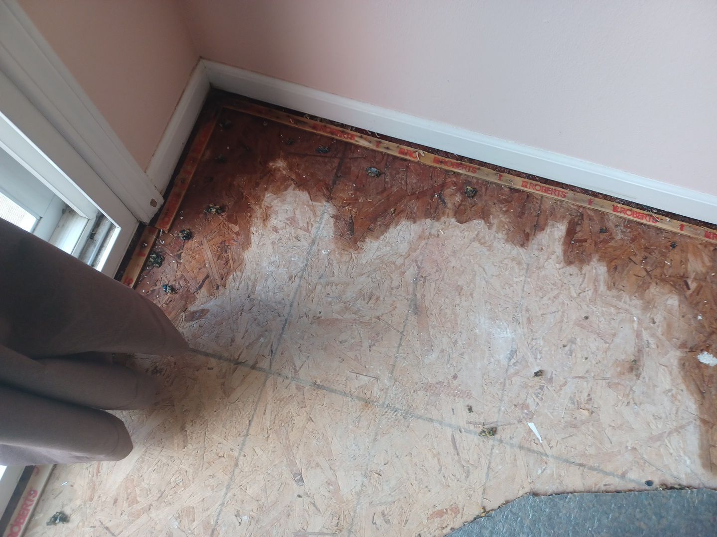 Project in New Haven by EzDry Water Mitigation & Property Restoration