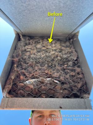 Dryer Vent Cleaning in Montverde