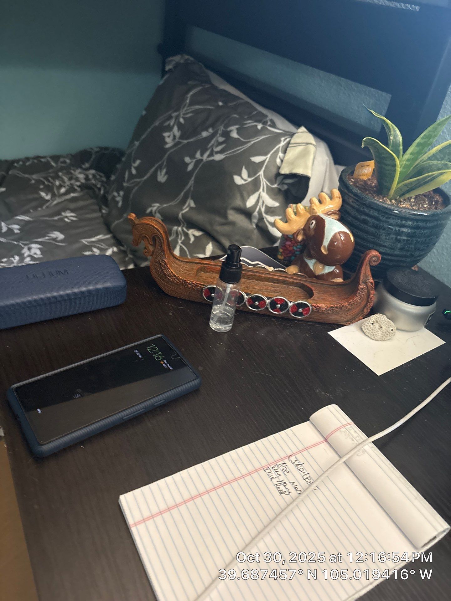 Shaggy by CompanyCam Sales Demo