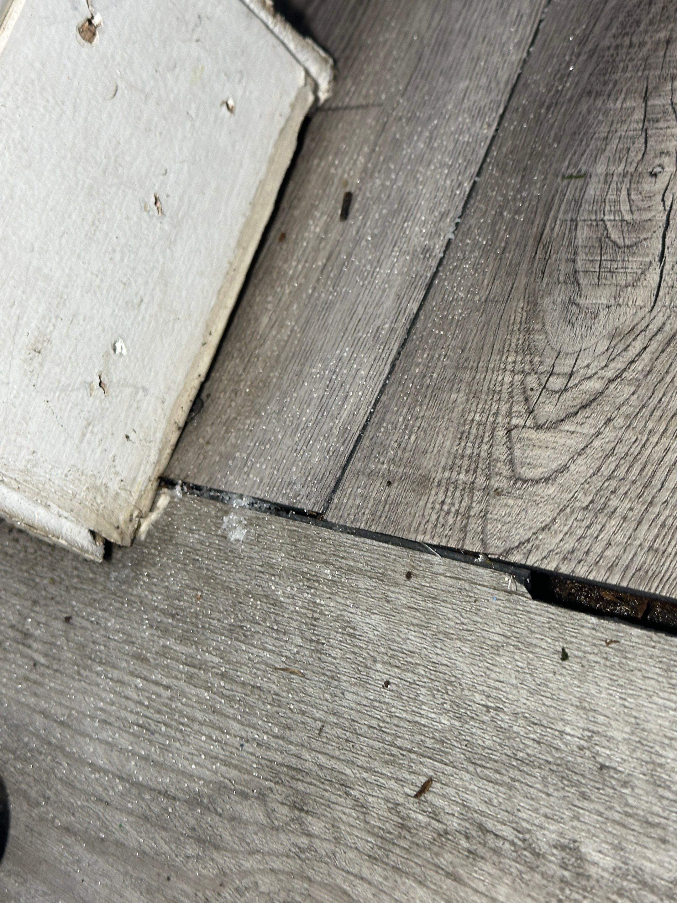 Water Damage Claim in Miami by FLAPA & KeyStone