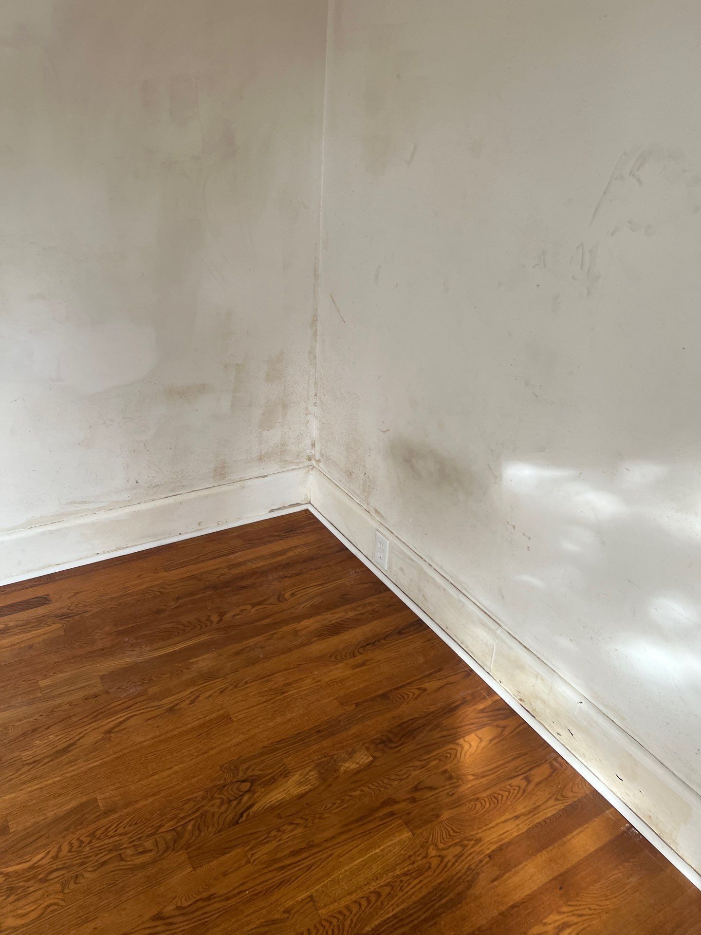 Interior Remodel by Magic Painting