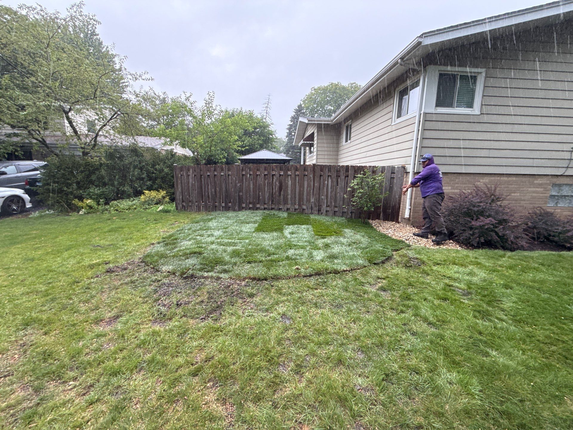 Amy N. - Arlington Heights, IL by A&N 