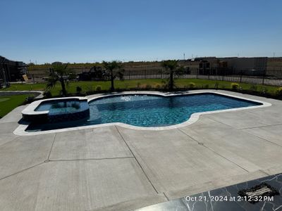 Freeform Pool with Raised Spa
