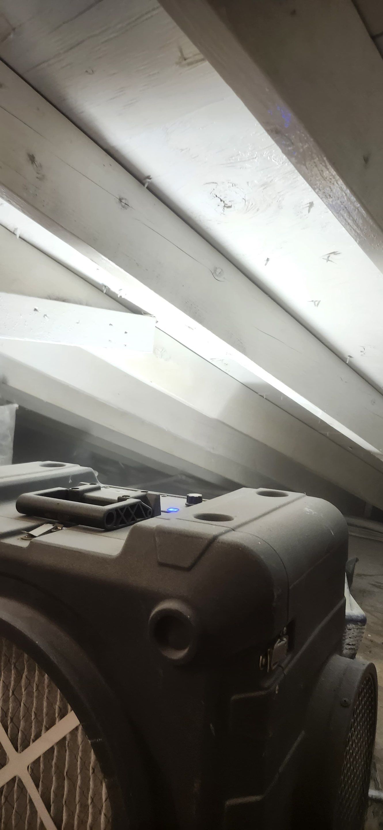 Attic Mold Remediation in Montville, NJ by Pure Service Pro, LLC