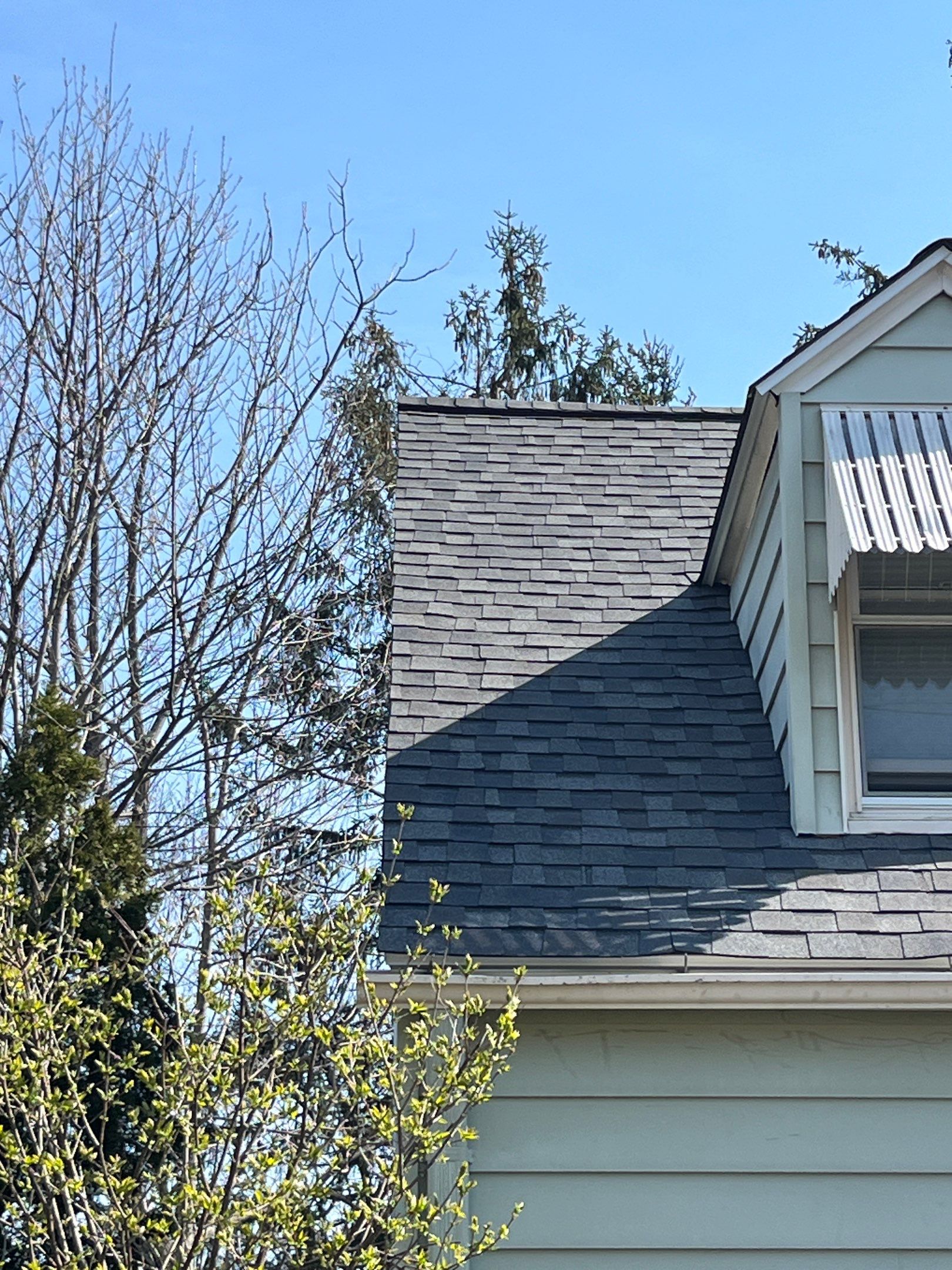 Once a customer of DiGiorgi, Always a customer of DiGiorgi- Shelton roof edition by DiGiorgi Roofing and Siding Inc