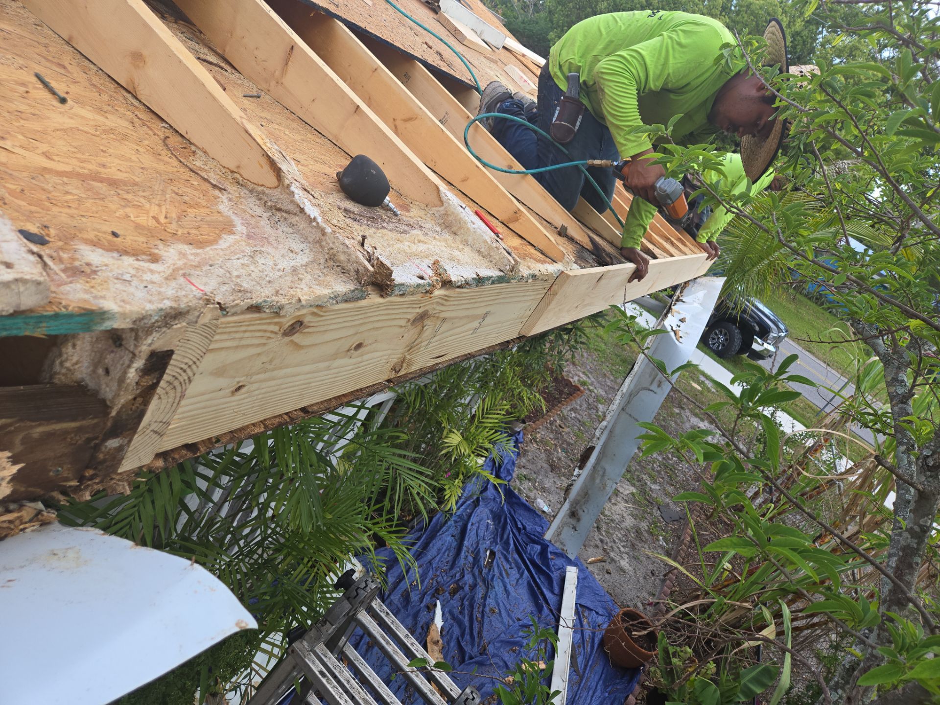 Project in Pinellas Park 33782 by Mitchell Roofing Company LLC 