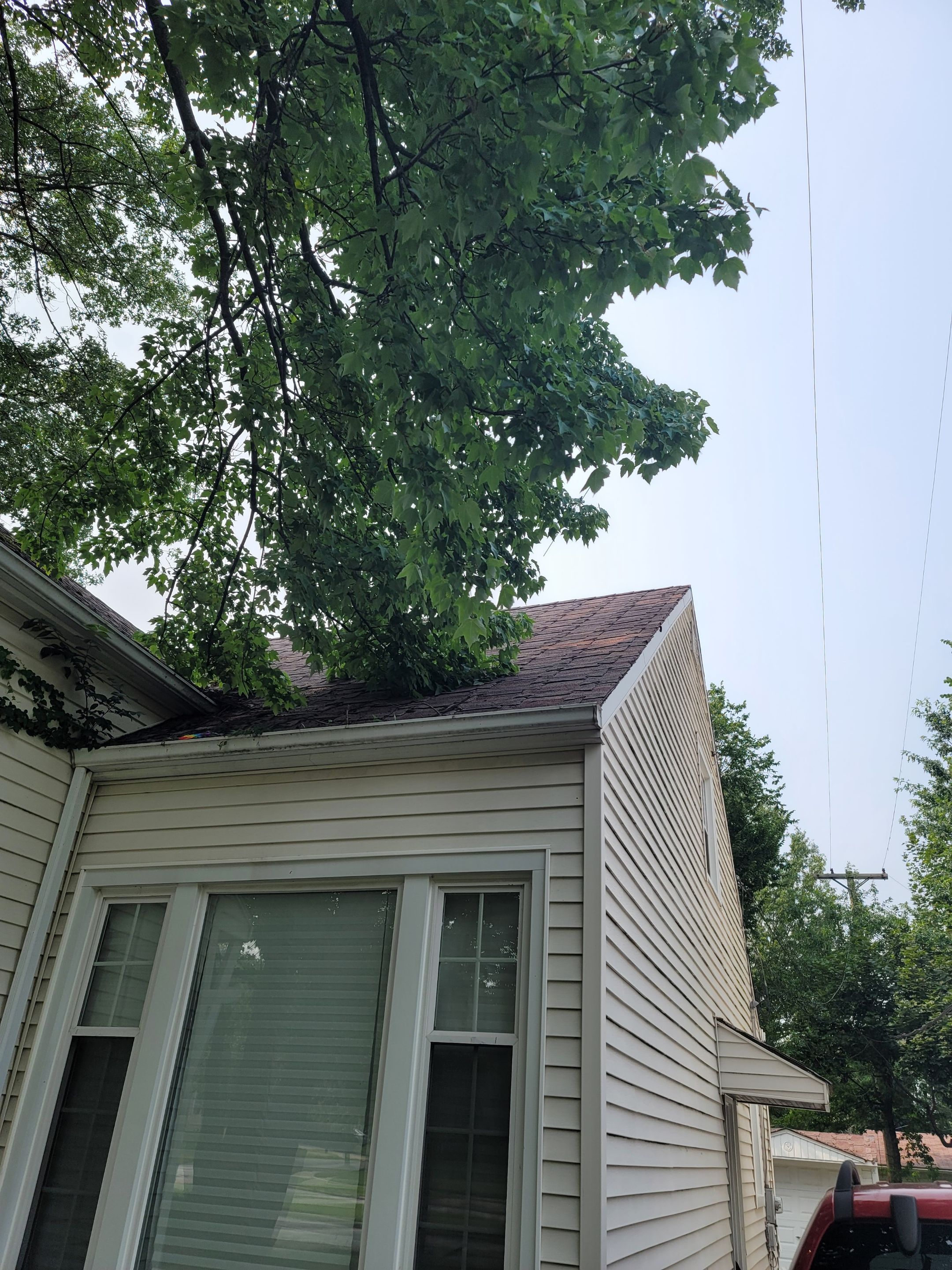 ATLAS PINNACLE COLOR: SCOTCHGARD BLACK SHADOW DRIP EDGE: WHITE by Eagle Eye Roofing