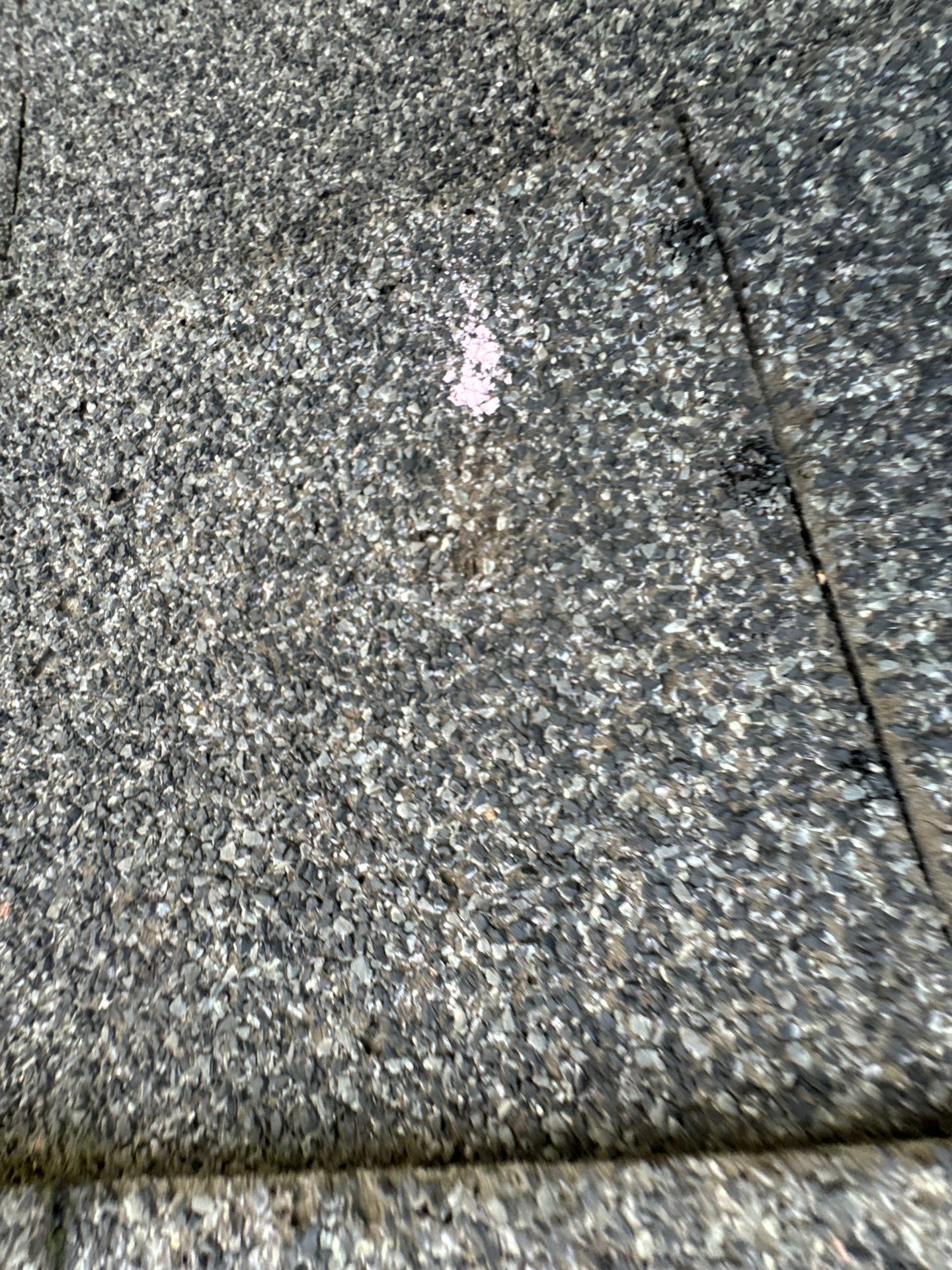 none by Emergency Roofing Solutions