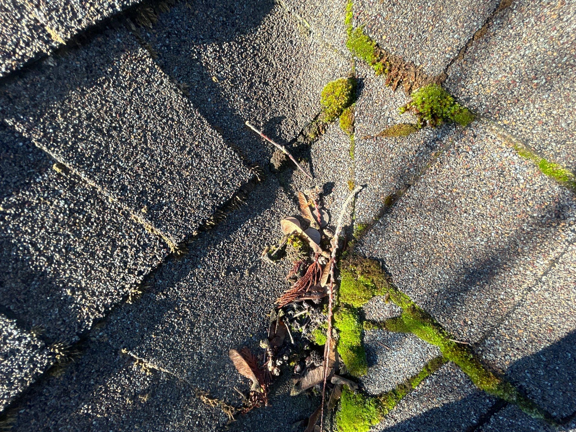 Project in Mount Vernon by Connolly Construction Company