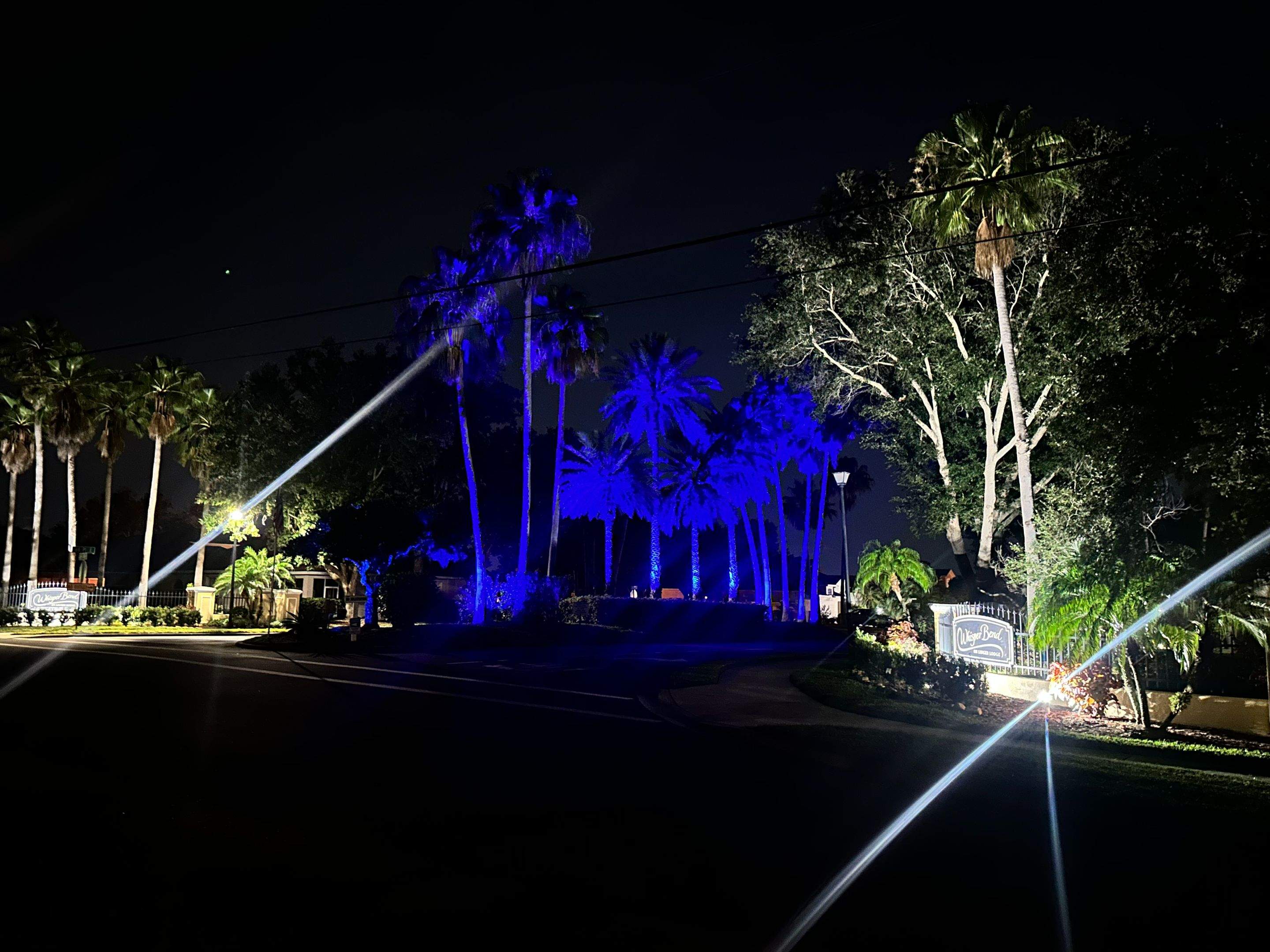 Transform Your HOA Entrance for Every Season -Without the Decorating Expense by Illuminate Landscape Designs