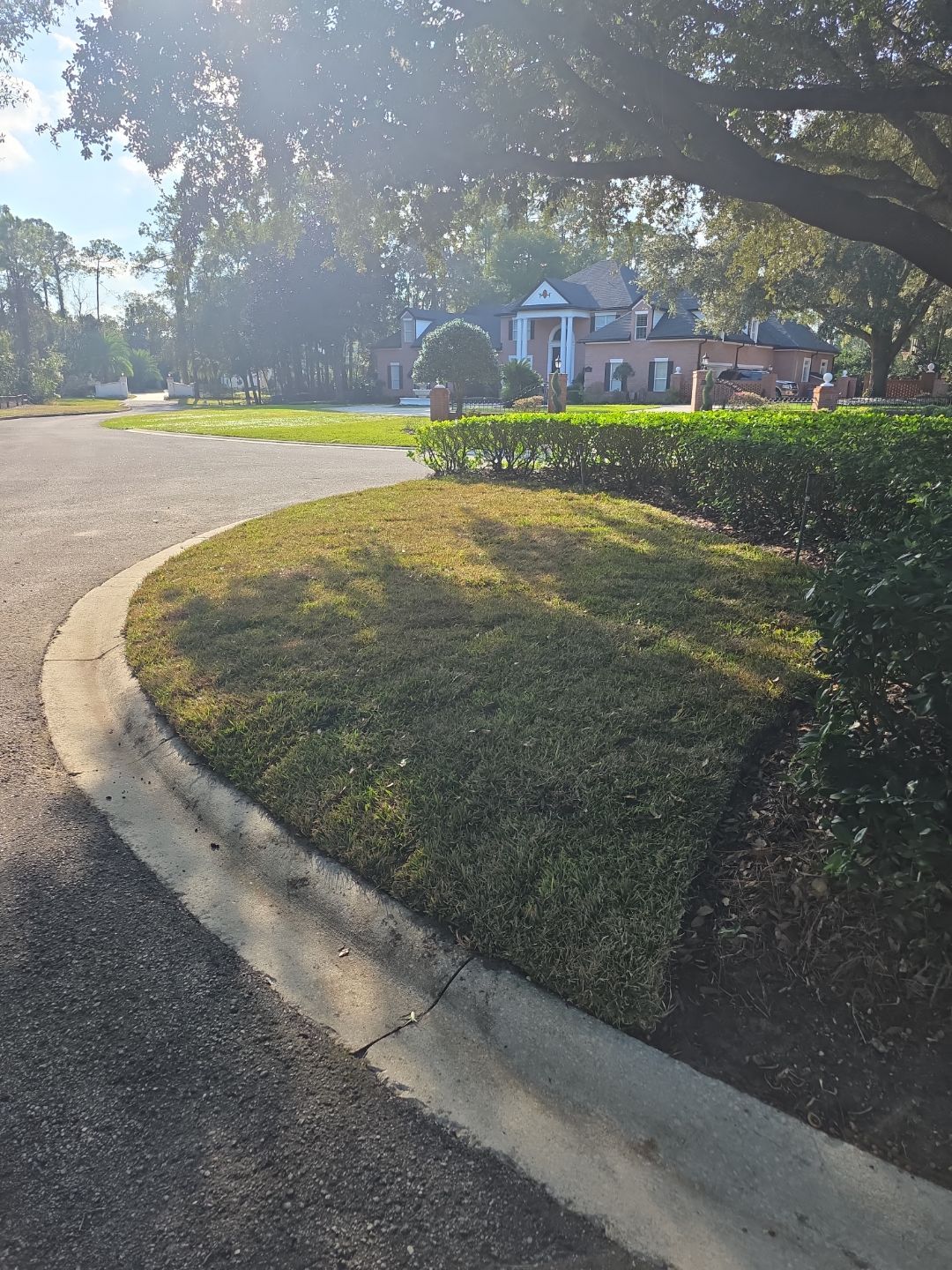 Courtyards of Deerwood | Sodding Work by ProGreen Services