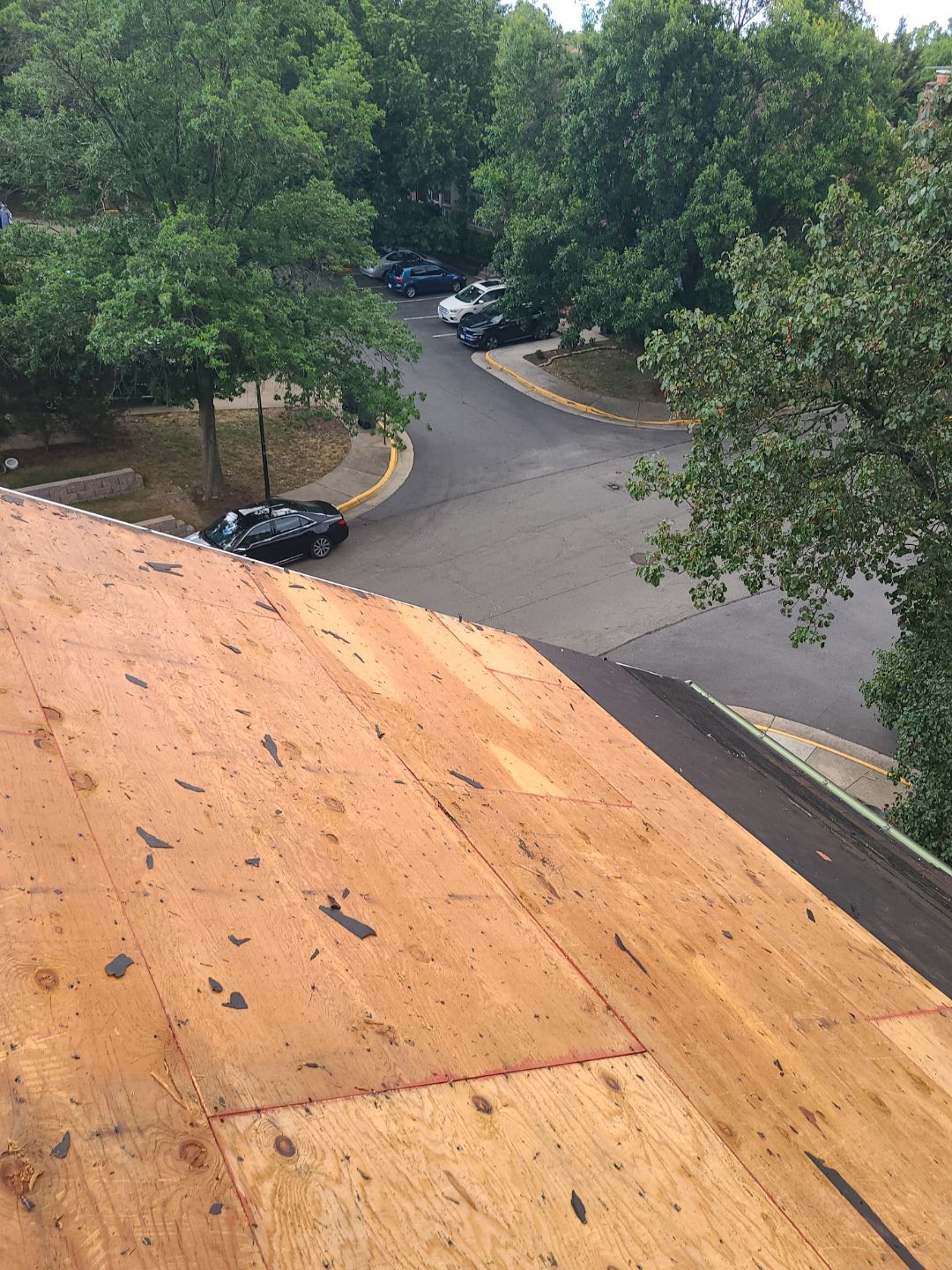 Alexandria: Roof Replacement with CertainTeed Landmark Pro in Max Def Burnt Sienna by RM Banning, Inc.