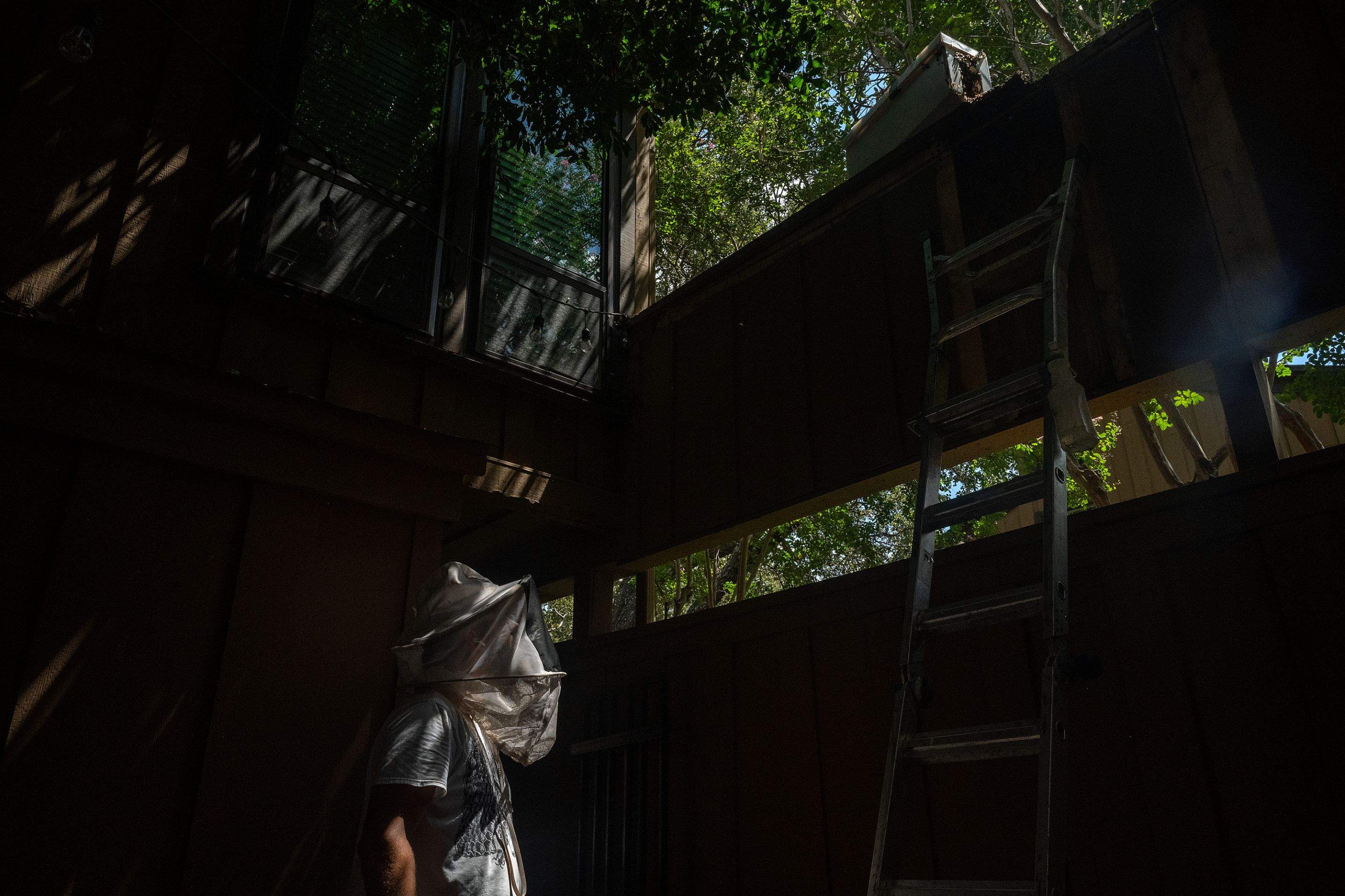 Condo Patio by Rockwall Honey Bee Company