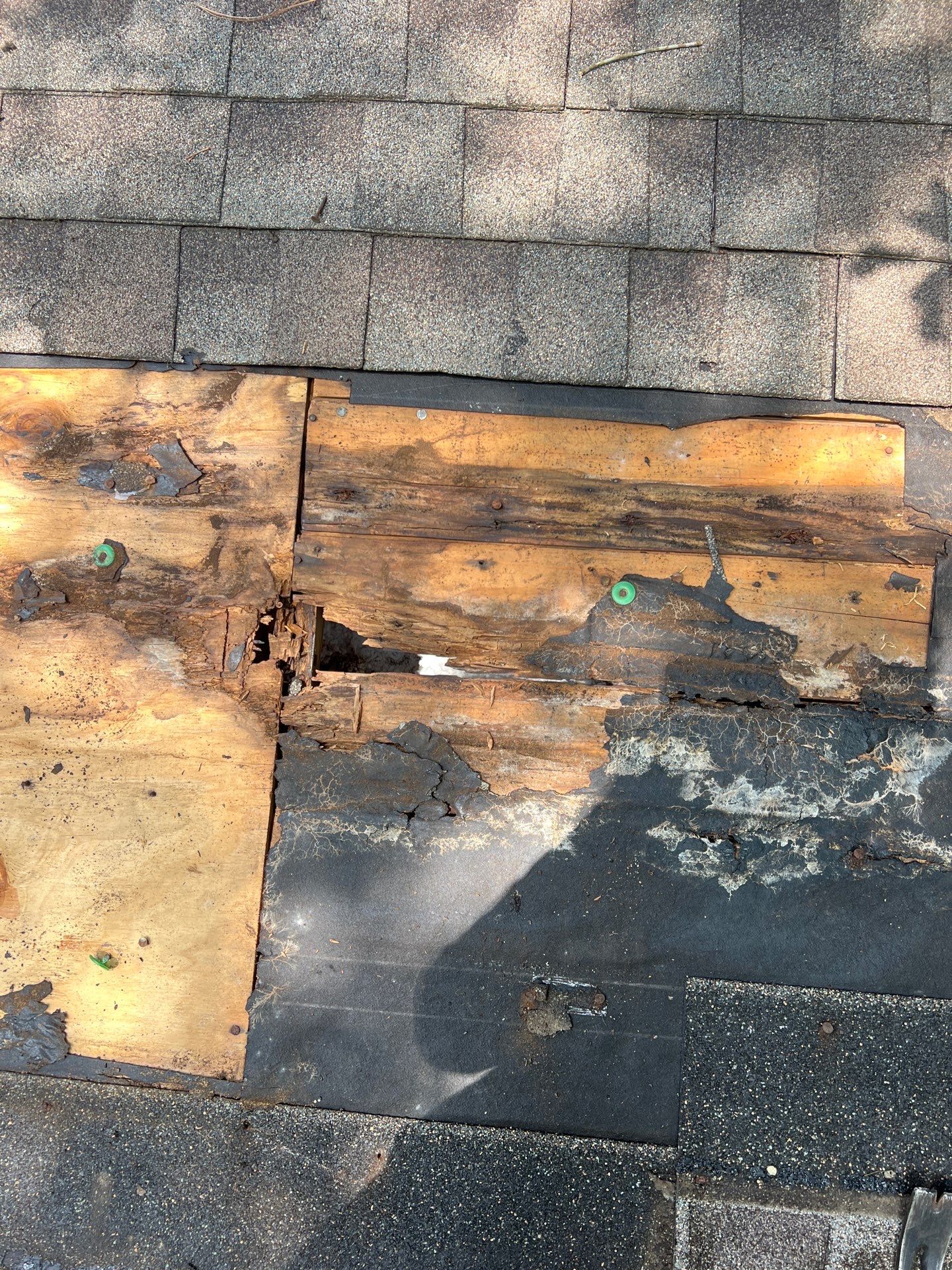 Roof Repair Conroe by Roof Repair Services LLC