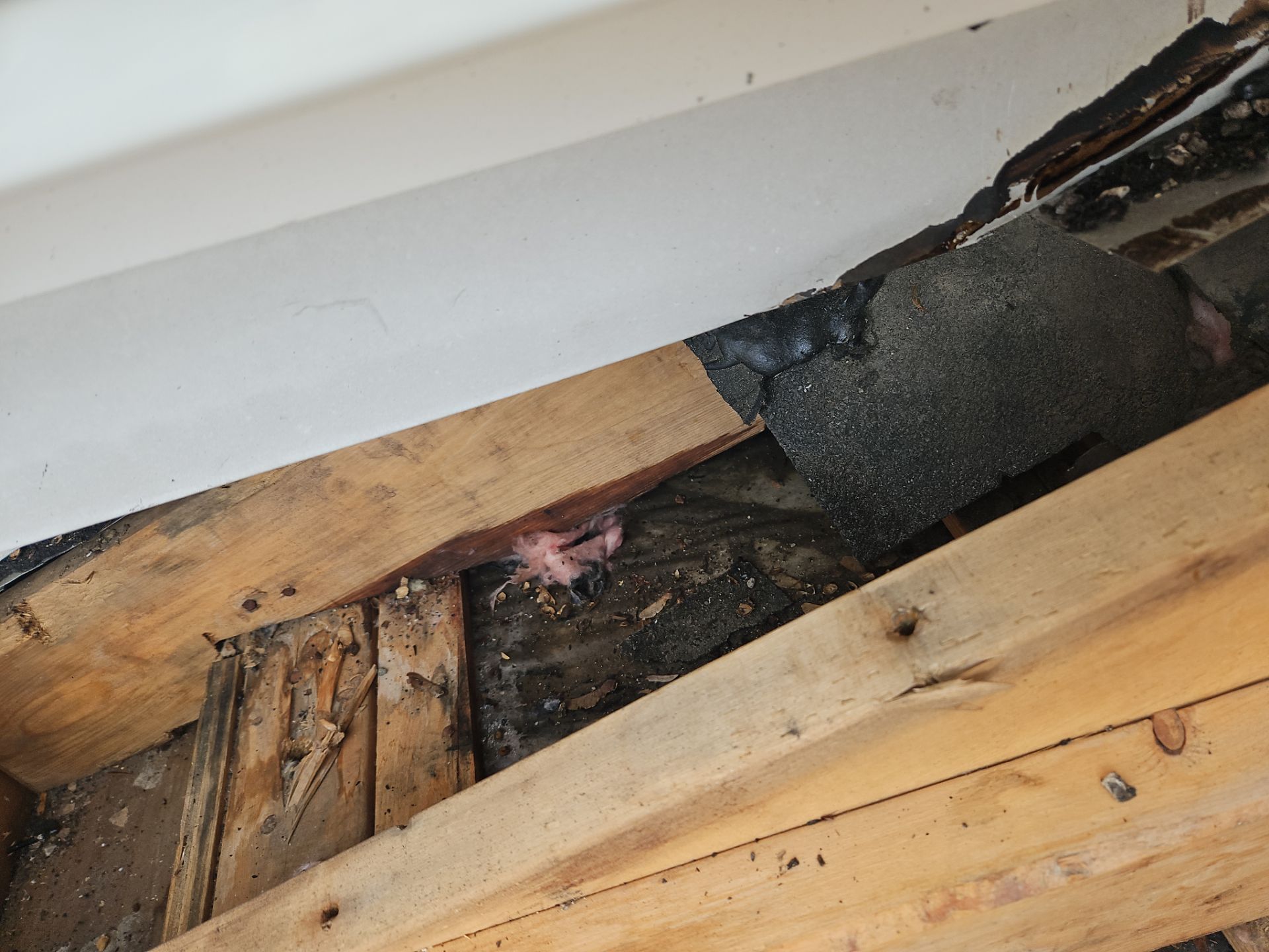 Roofing | Haverhill by Mighty Dog Roofing of Greater Middlesex County