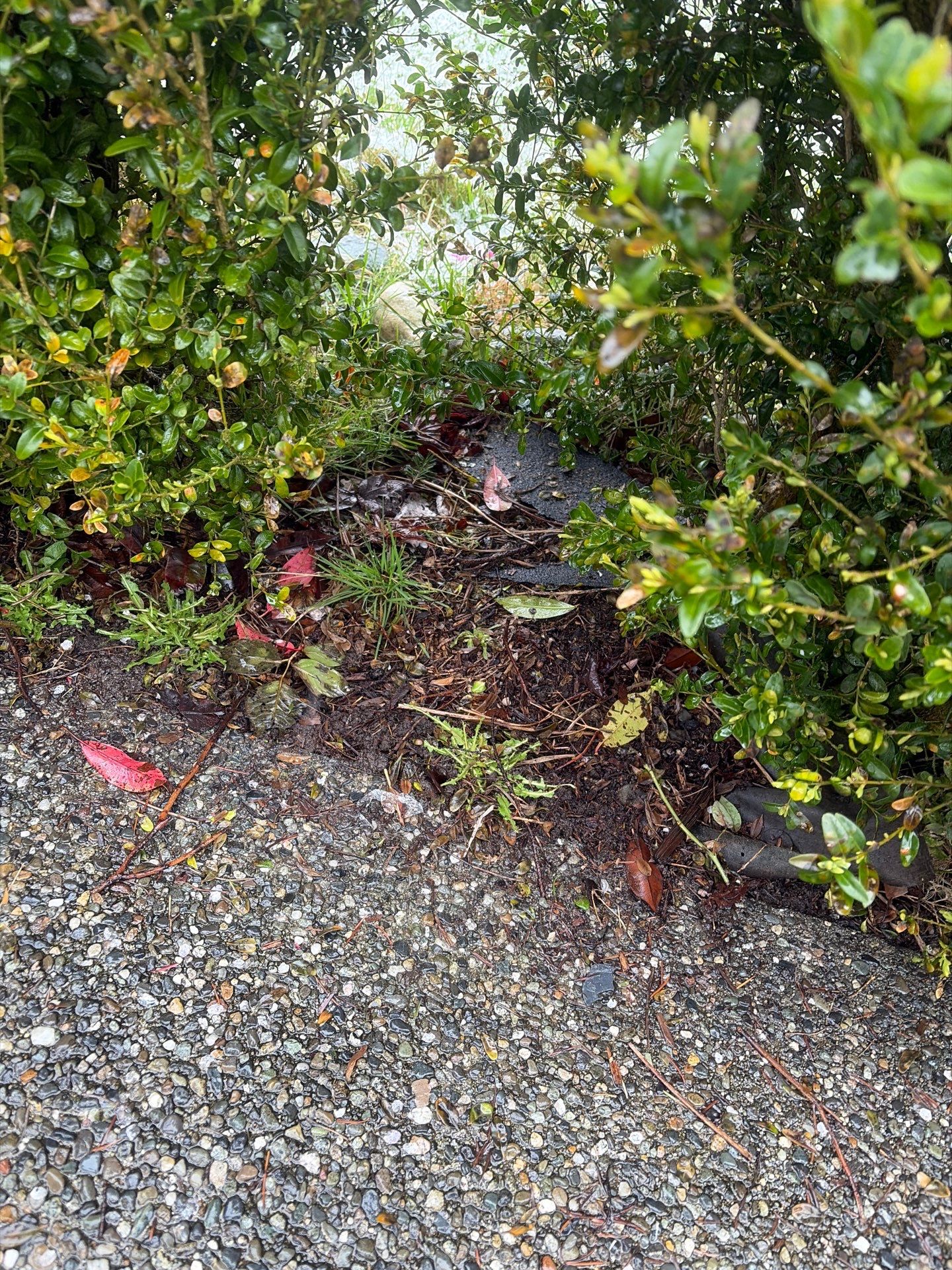 Roof in Lake Stevens by Connolly Construction Company