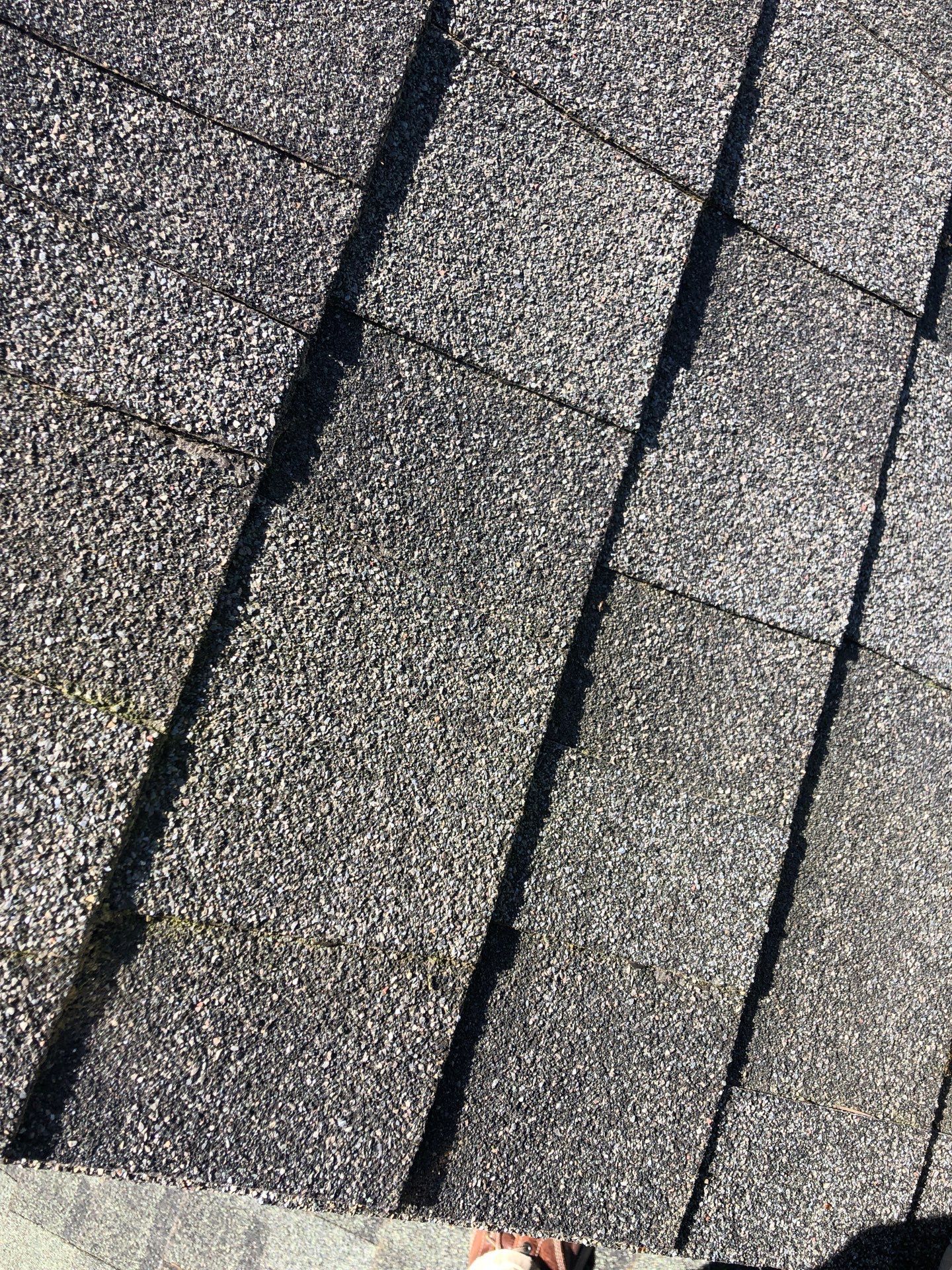 Project in Bellingham by Connolly Construction Company