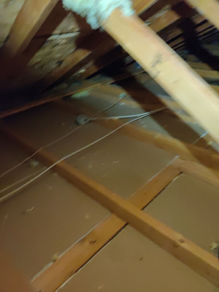 Mold Remediation Cleanup in Attic by Accountable Home Services
