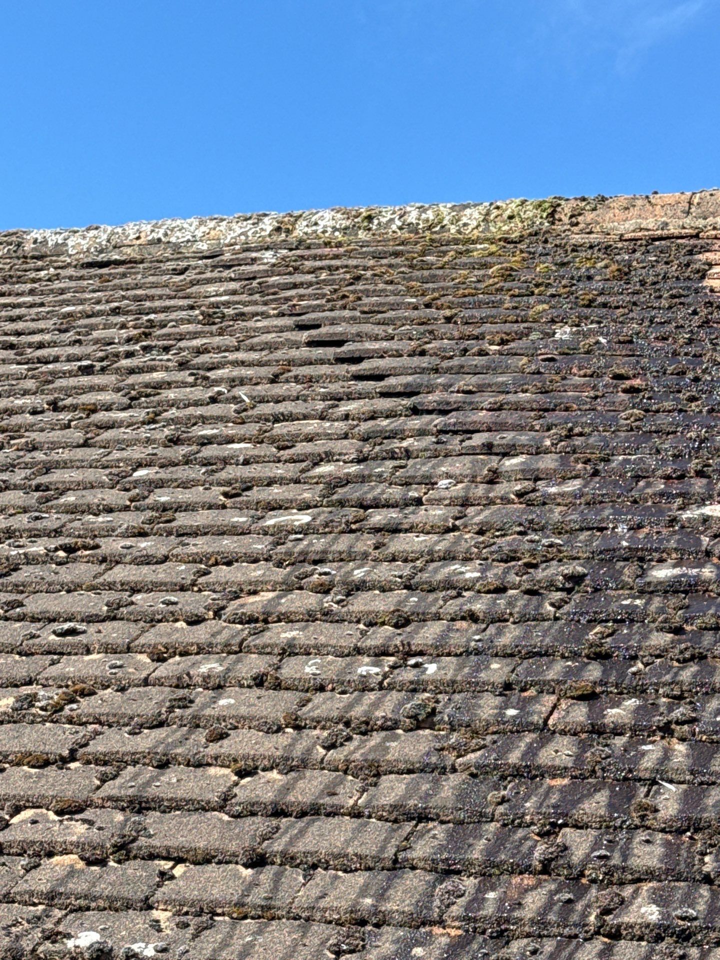 Roof Cleaning Cheam by Ges Exterior Cleaning ltd