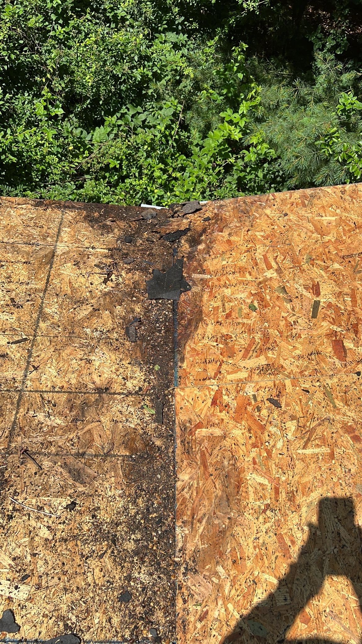 Roof Replacement - Landmark PRO Red Oak by Winchester Roofing