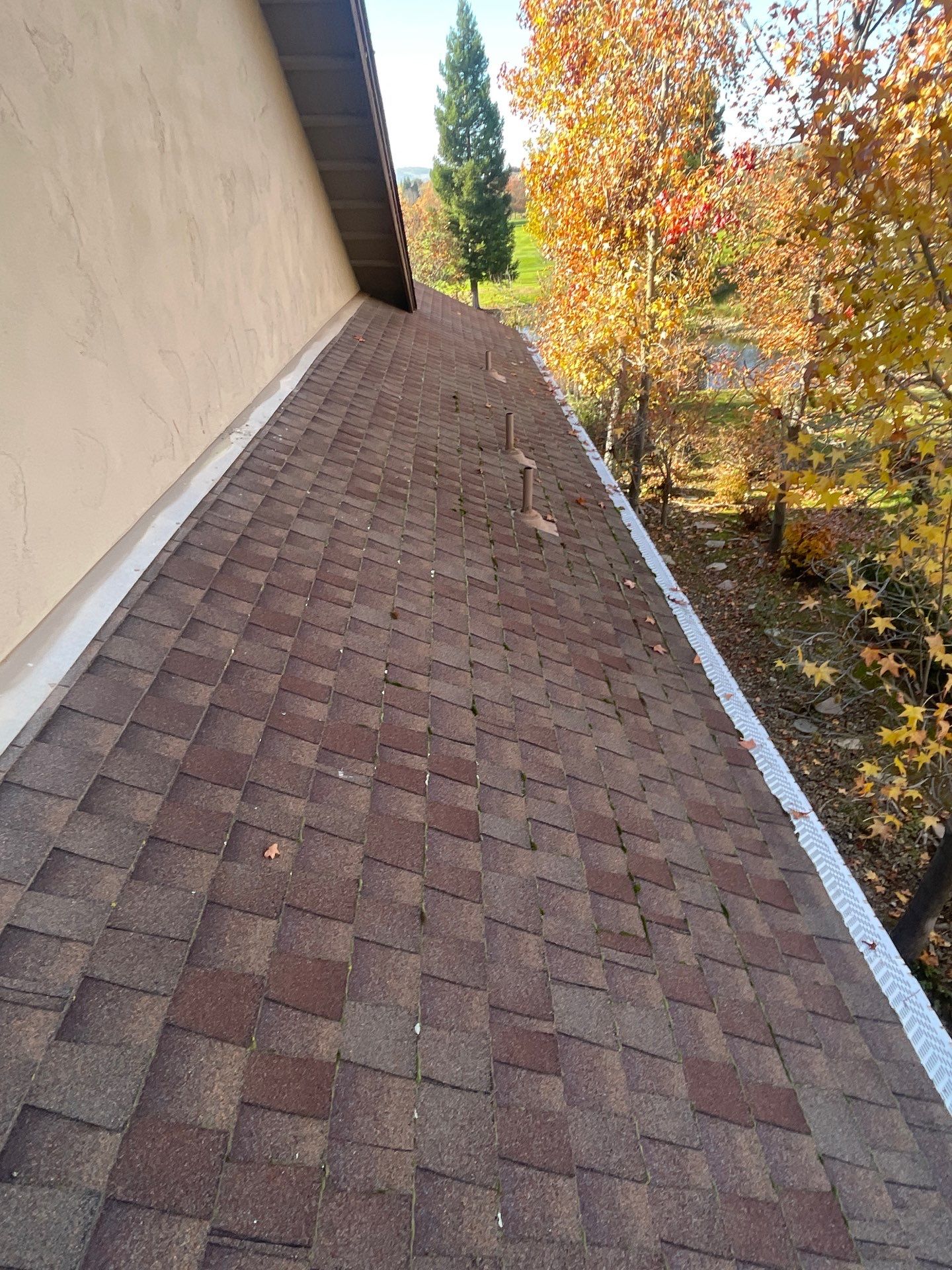 Roof Rejuvenation using Roof Maxx Treatment by Roof Maxx of Folsom