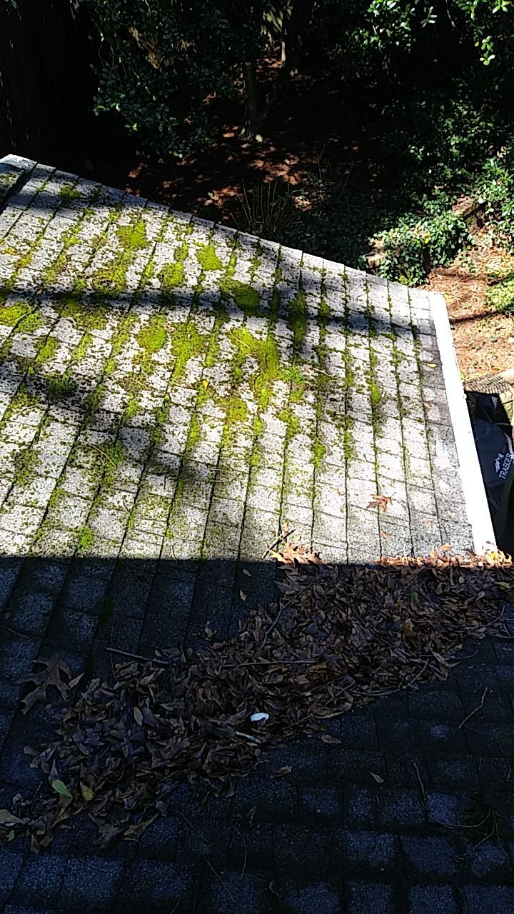 Resolving Leaks and Moss Growth by Georgia Roof Advisors