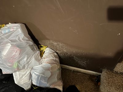 Flood Cut Mitigation