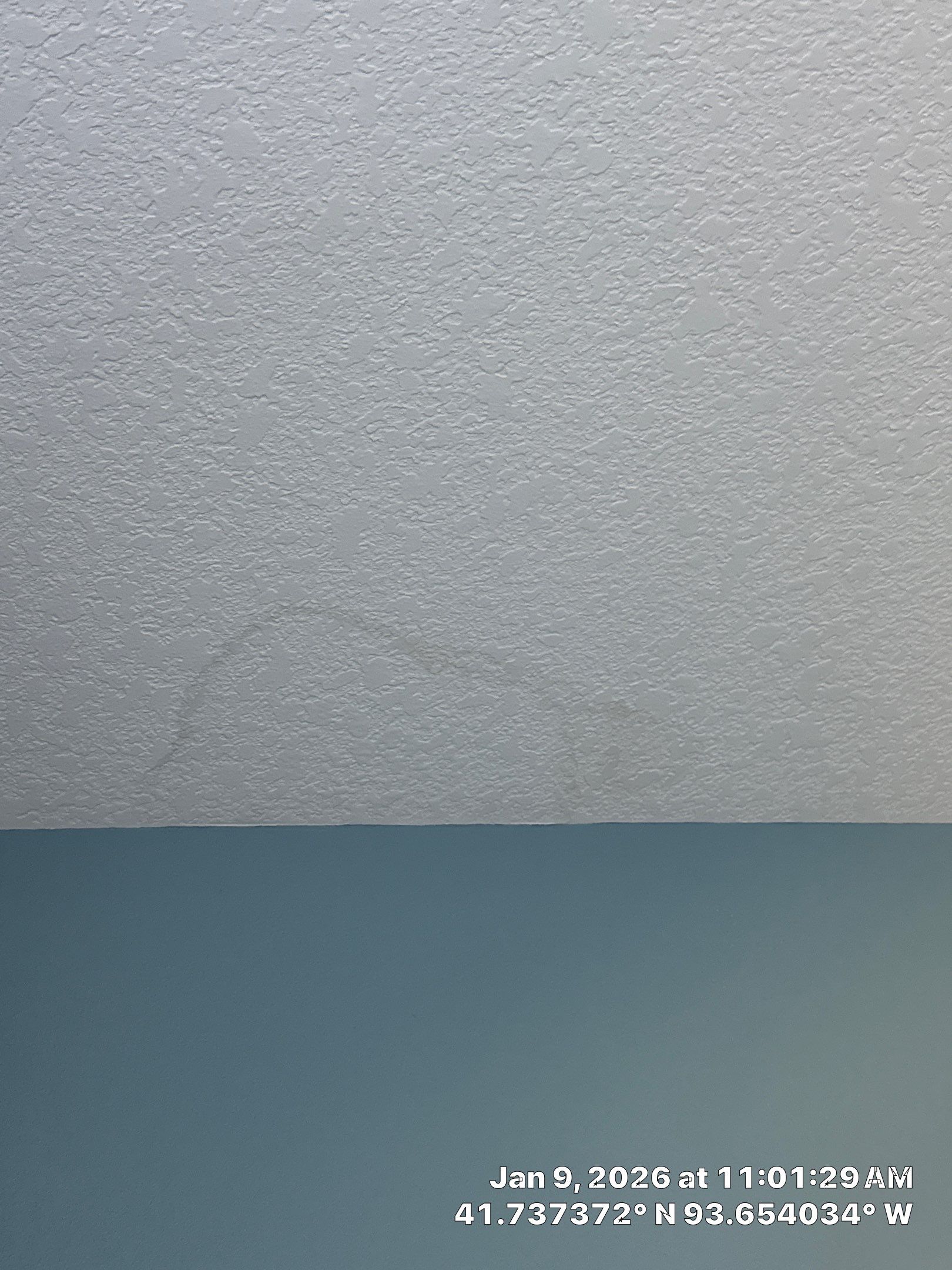 Project in Ankeny, IA by Midwest Paint LLC