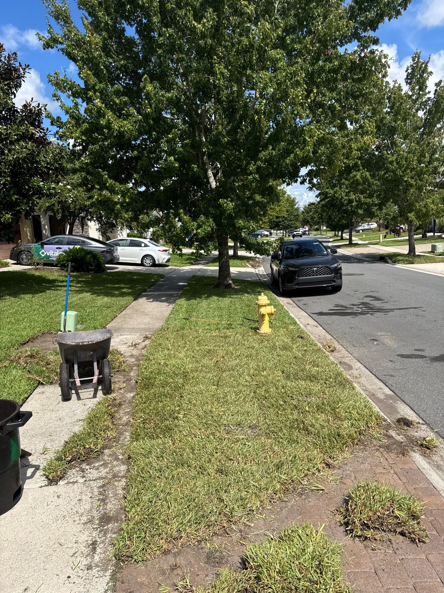 Residential | Sod Installation by ProGreen Services