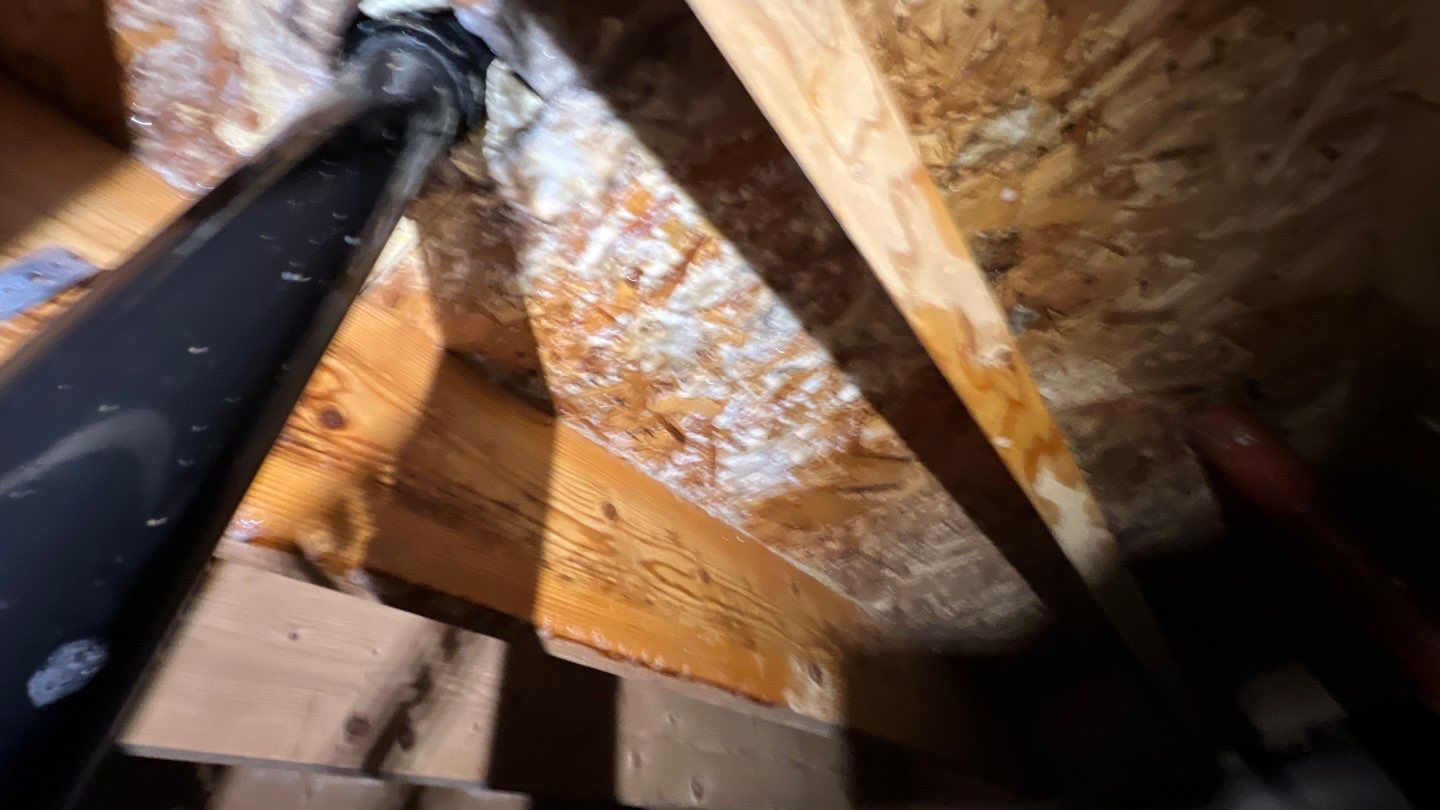 Mold Damage by Accountable Home Services