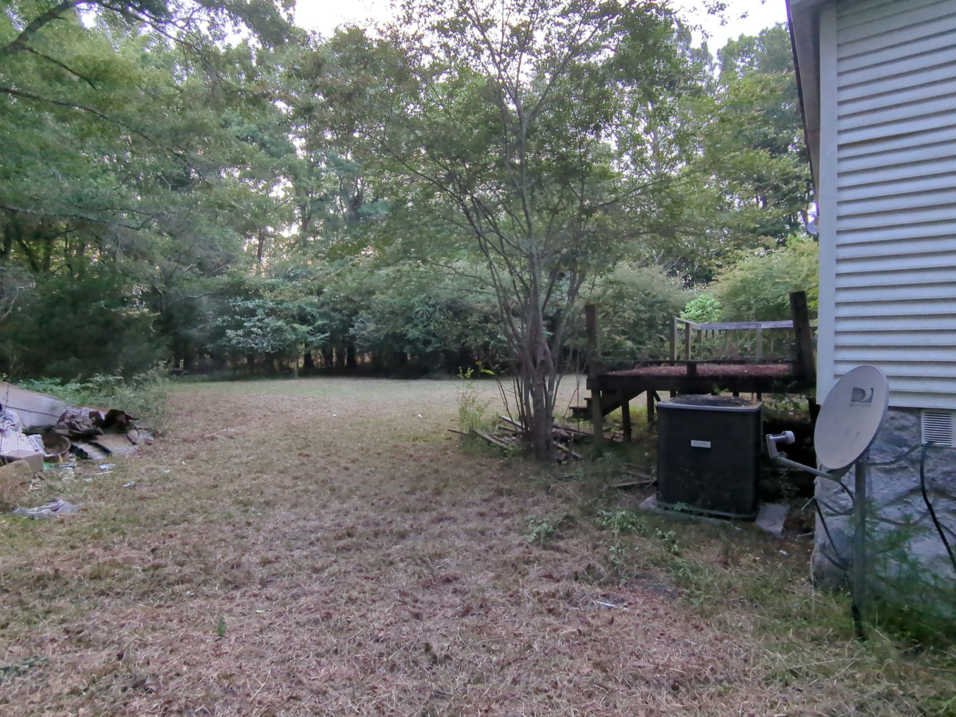 Exterior Clearing - tree trimming - grass cut by Swift Signings and Services LLC