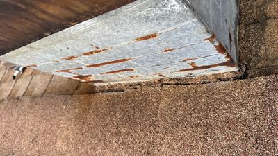 Turtle Shell gutter protection installation in Woodridge, IL 60517, photograph 17
