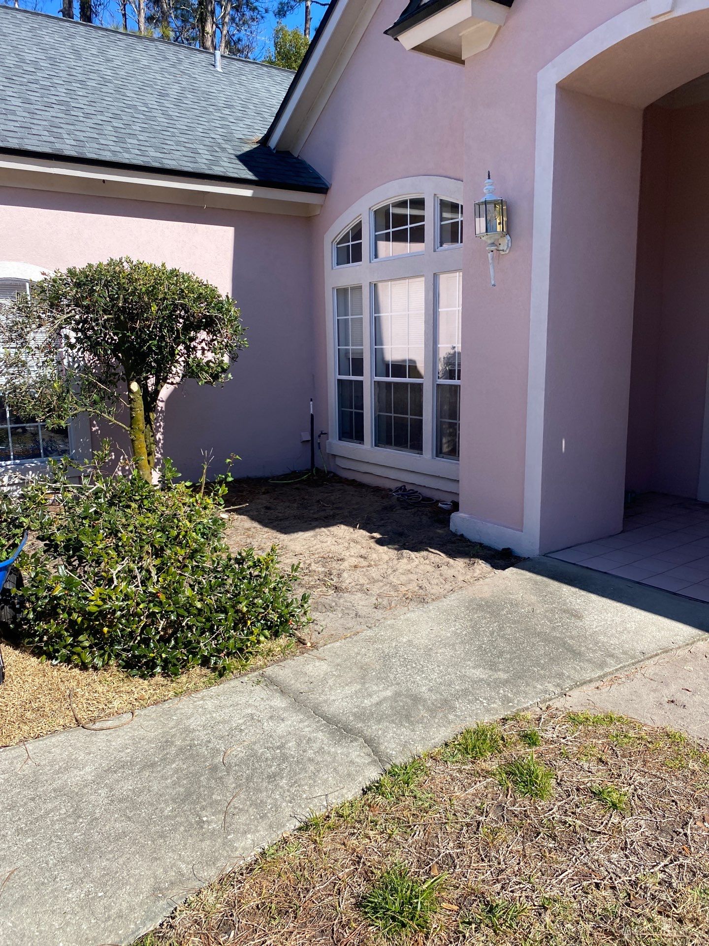 Deerwood Resident | Tree Removal & Clean-Up by ProGreen Services