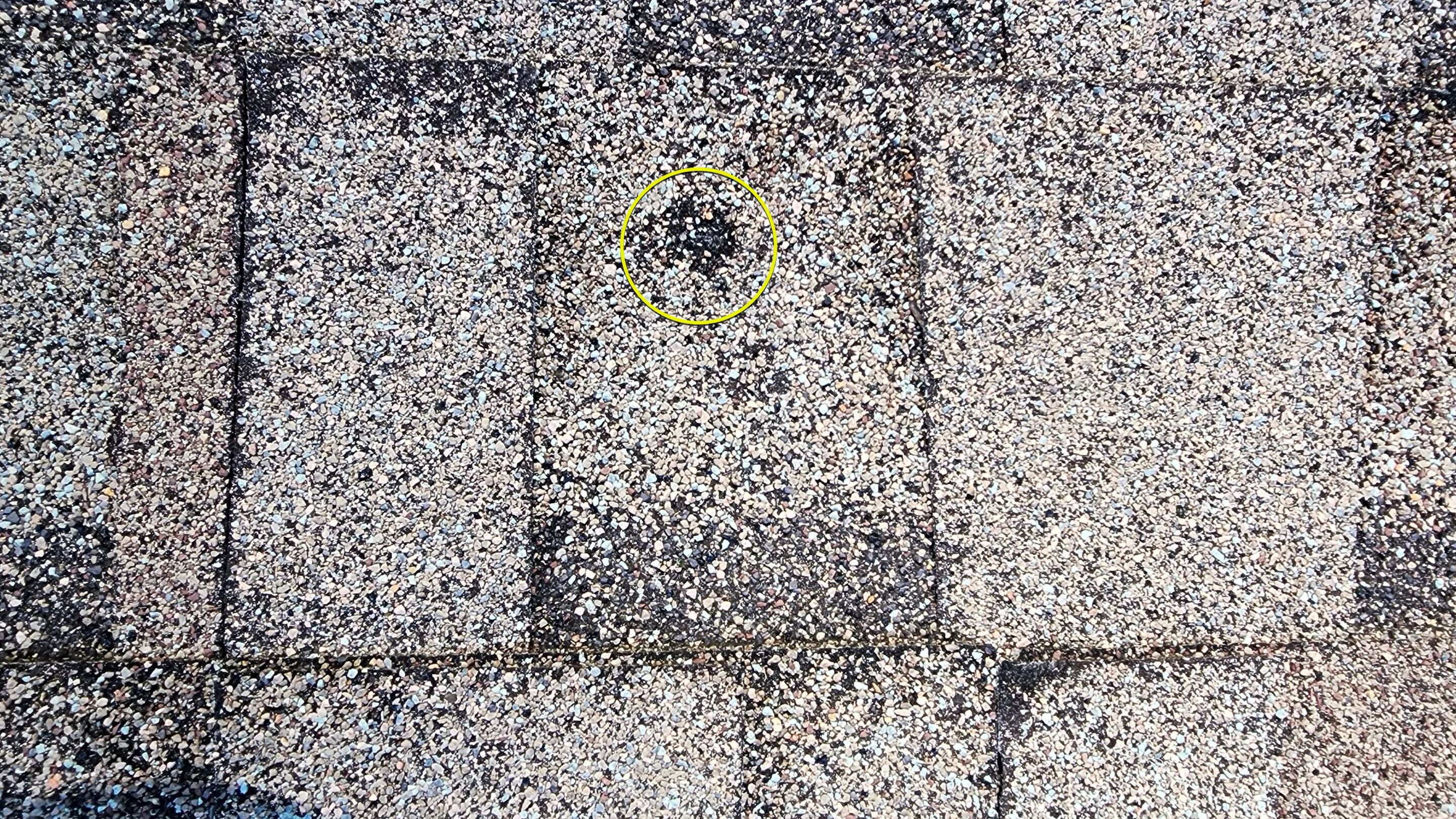 Storm Restoration Reroof: 40 Year Impact Rated Architectural Shingle by Hostetler Roofing