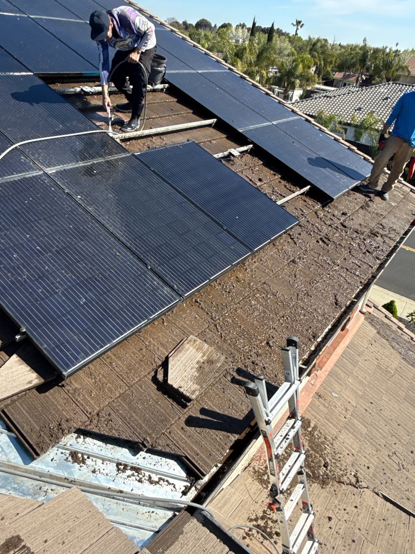 Project in Brentwood by Top Elevation