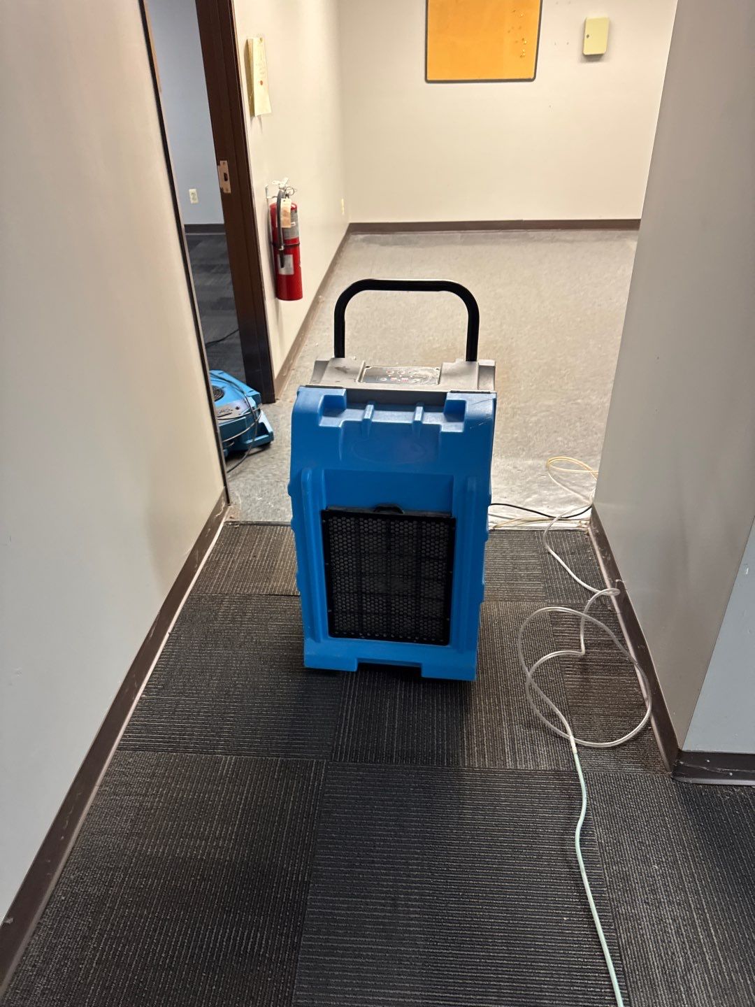 Project in Warren by EzDry Water Mitigation & Property Restoration