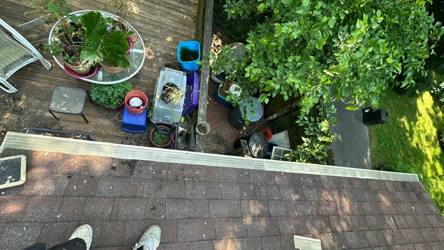 Very overdue gutter cleaning and screening by Above All Gutters 