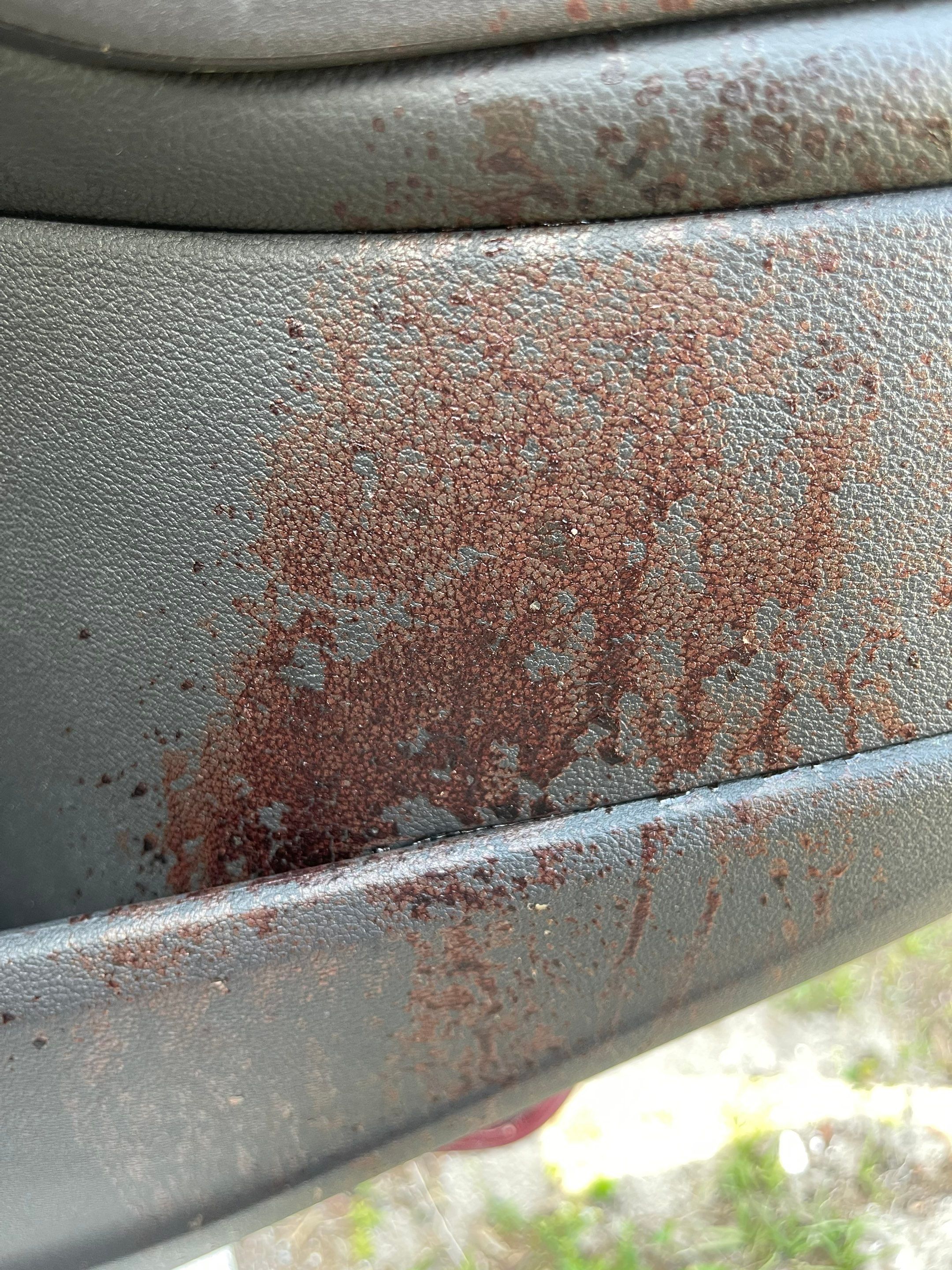 Vehicle Suicide in Cape Coral by Sadie’s Pro Cleaning