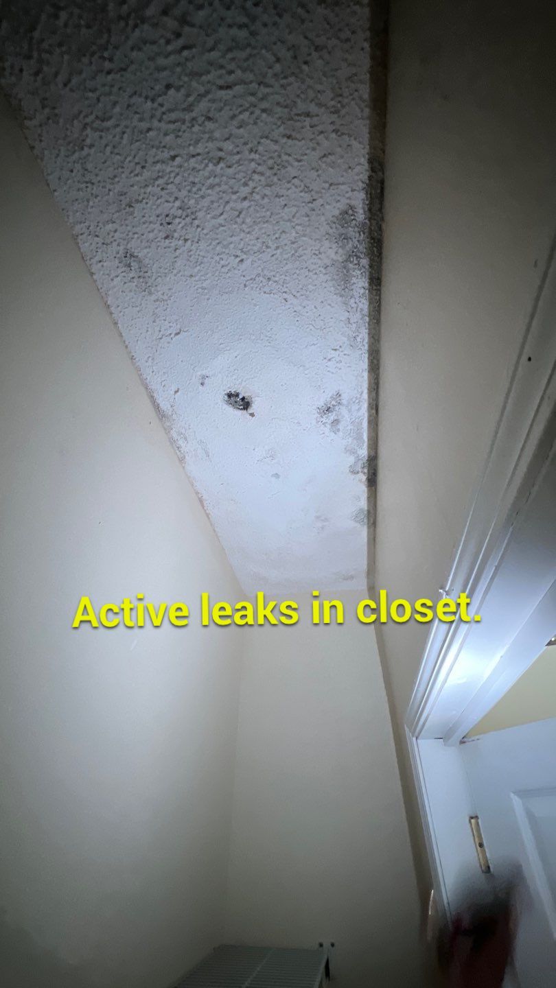 The Gardens of Rome by PC&D