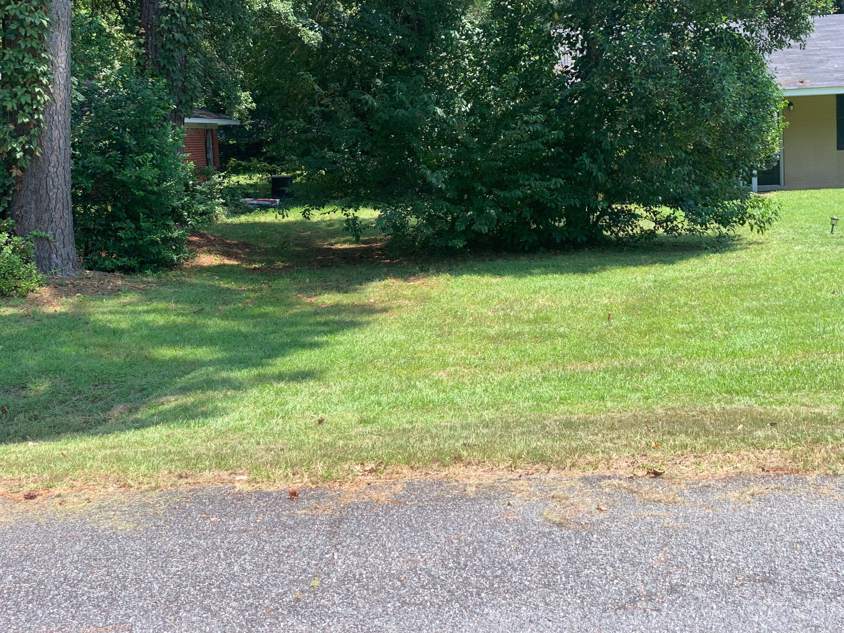 Yard Makeover by College Bros Outdoor services