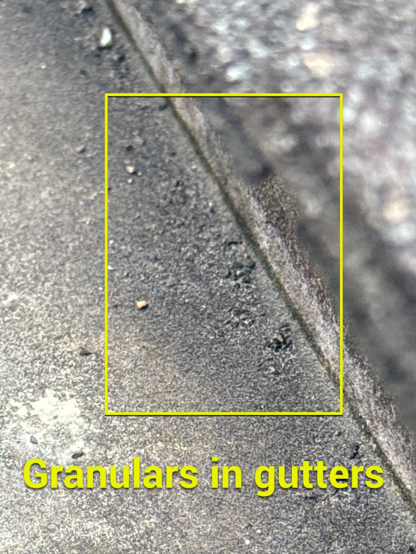 Project in Moseley by Roof Maxx of Midlothian