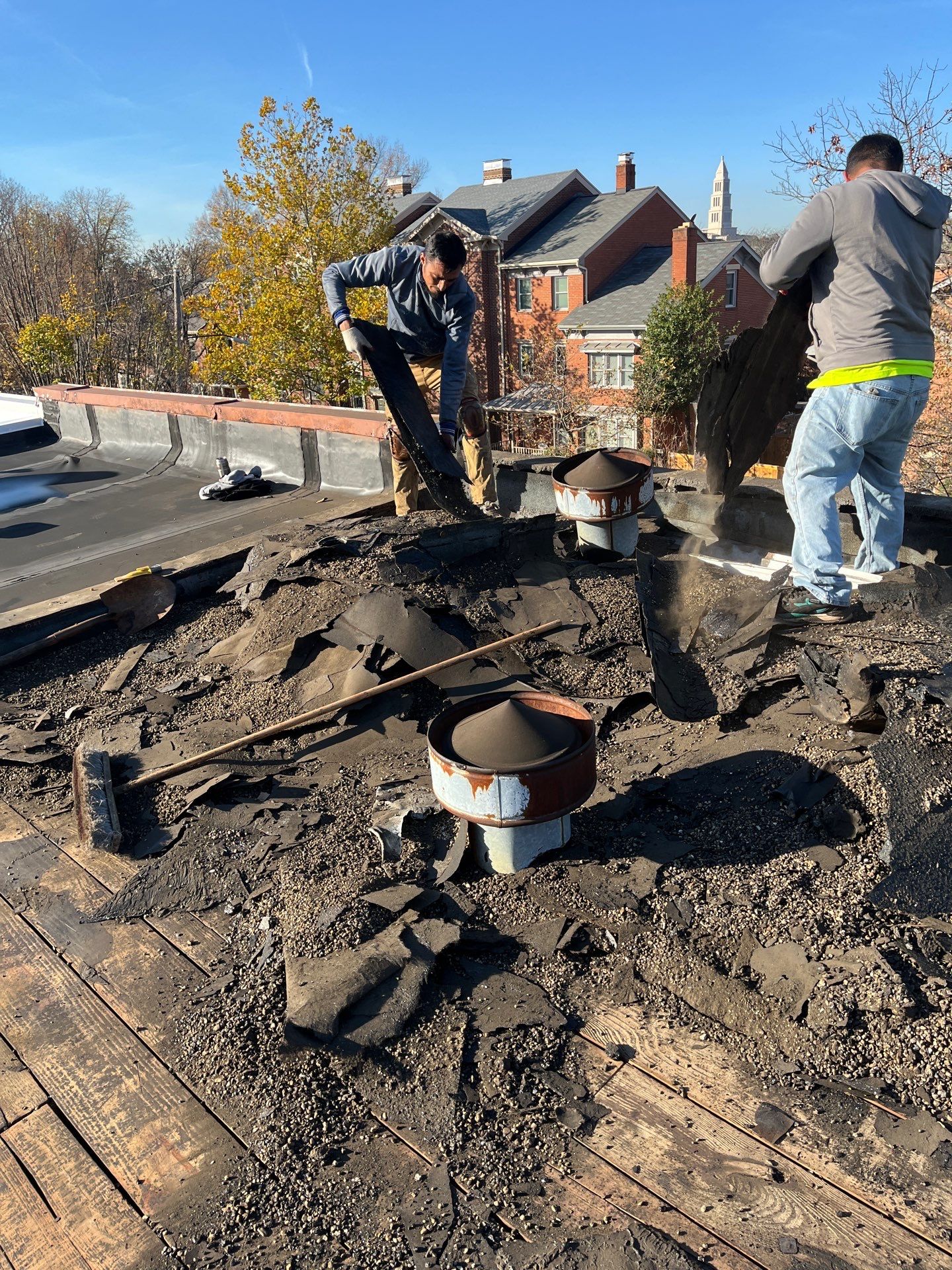 Alexandria: Residential Flat Roof Replacement with Mule Hide TPO Membrane by RM Banning, Inc.
