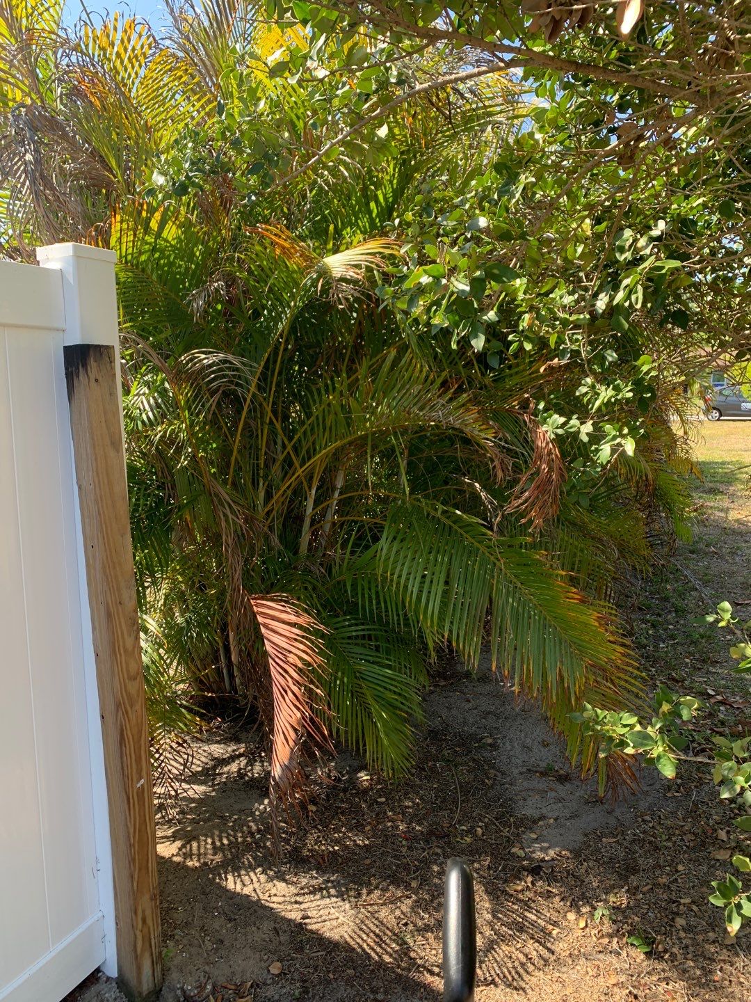 North Port, FL 6ft. White Vinyl Privacy Fence by Asap fence and gates, LLC