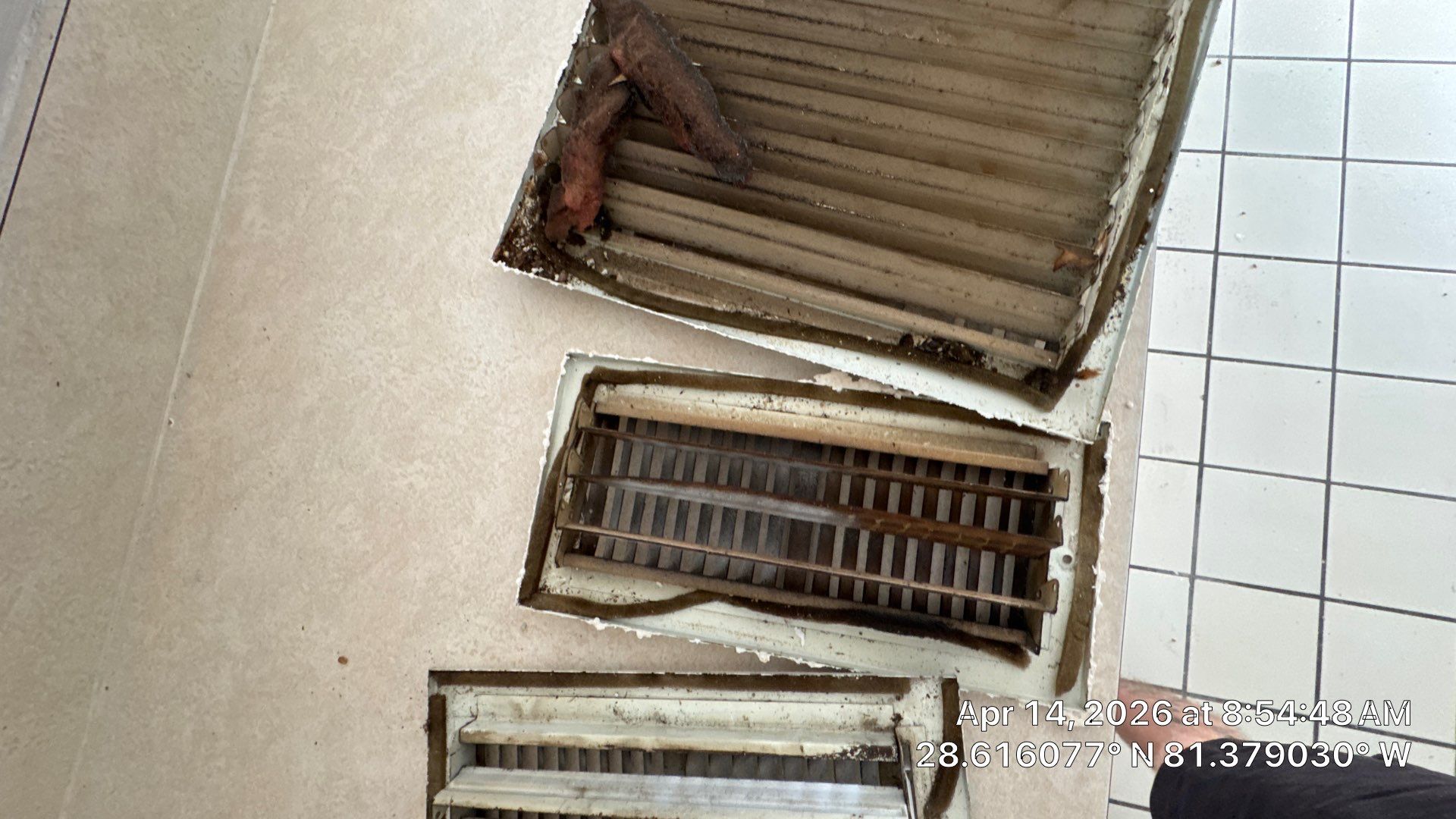 Air Duct Cleaning in Maitland by Hygienic Air, Inc