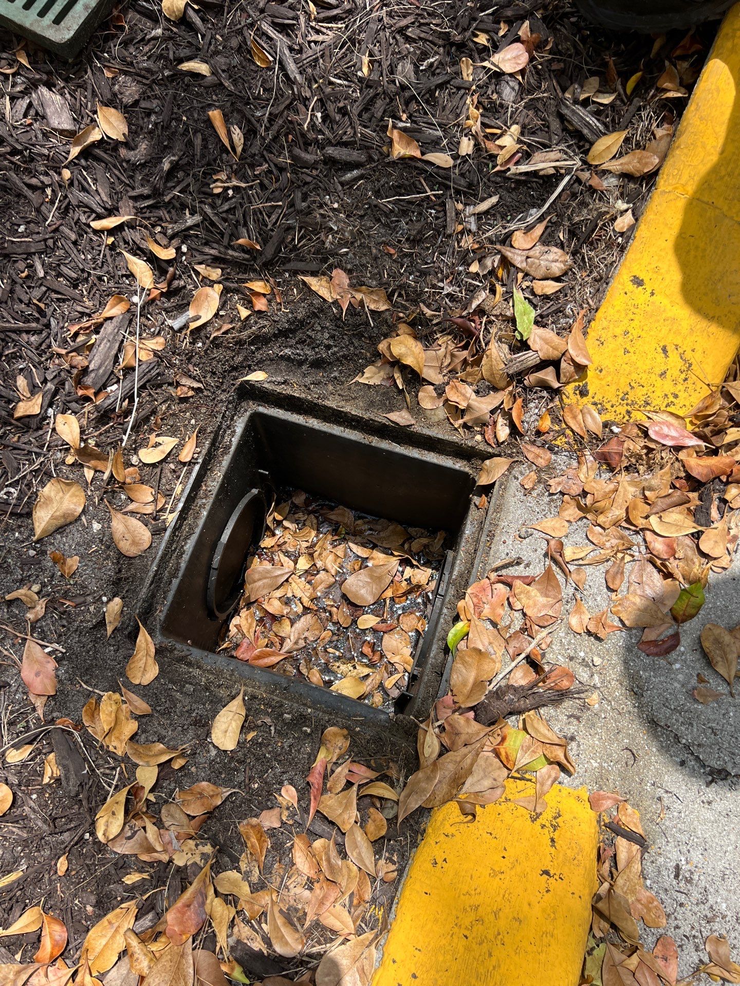 Marco Island Condo Stormwater System Maintenance by Don Mar, Inc. Storm Water Solutions