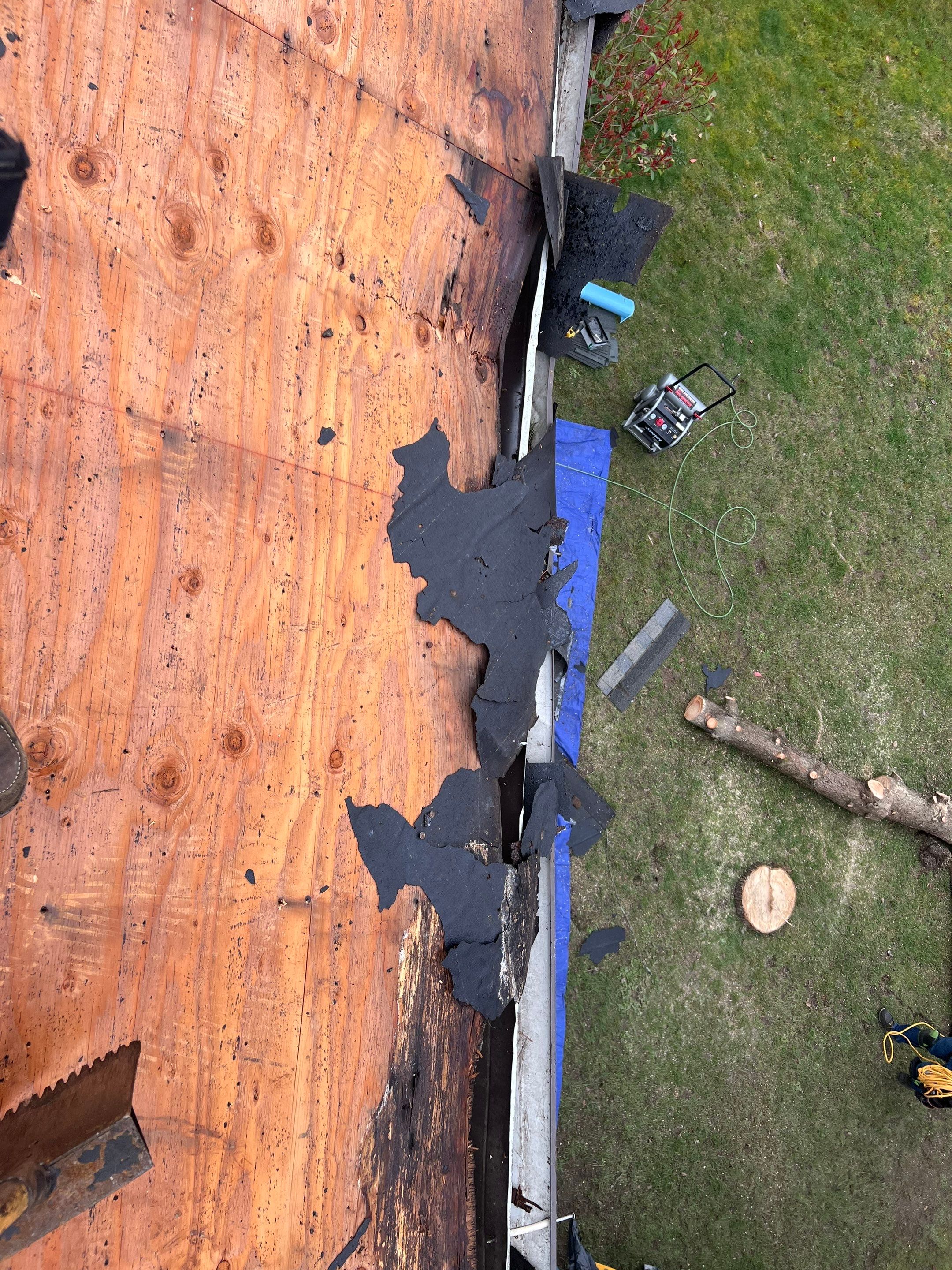 Emergency Leak Repair in Hillsboro by Prodigy Roof Solutions
