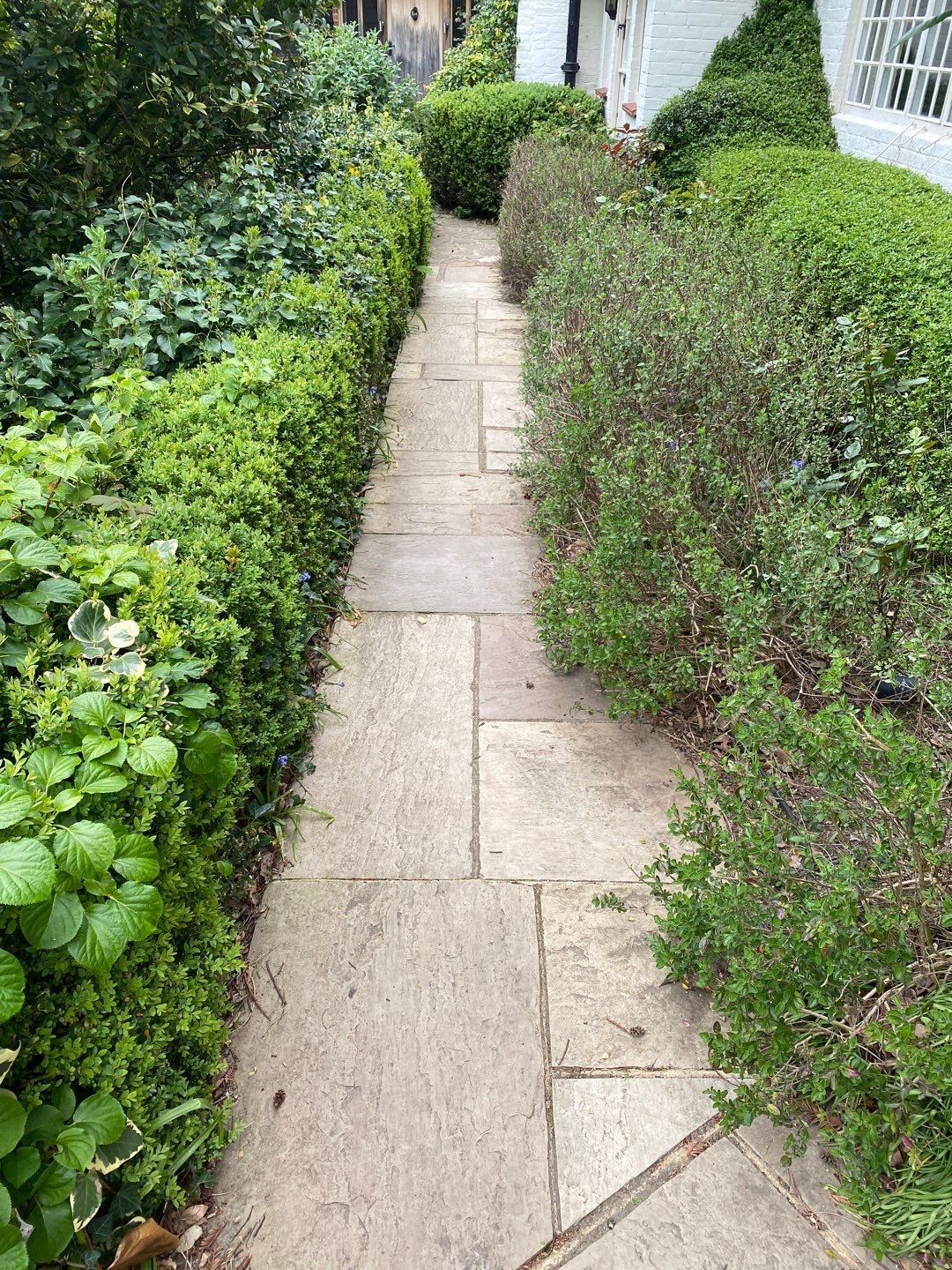 Exterior Clean - Drive - Patio - Paths using honda 21 ltr/min by Ges Exterior Cleaning ltd