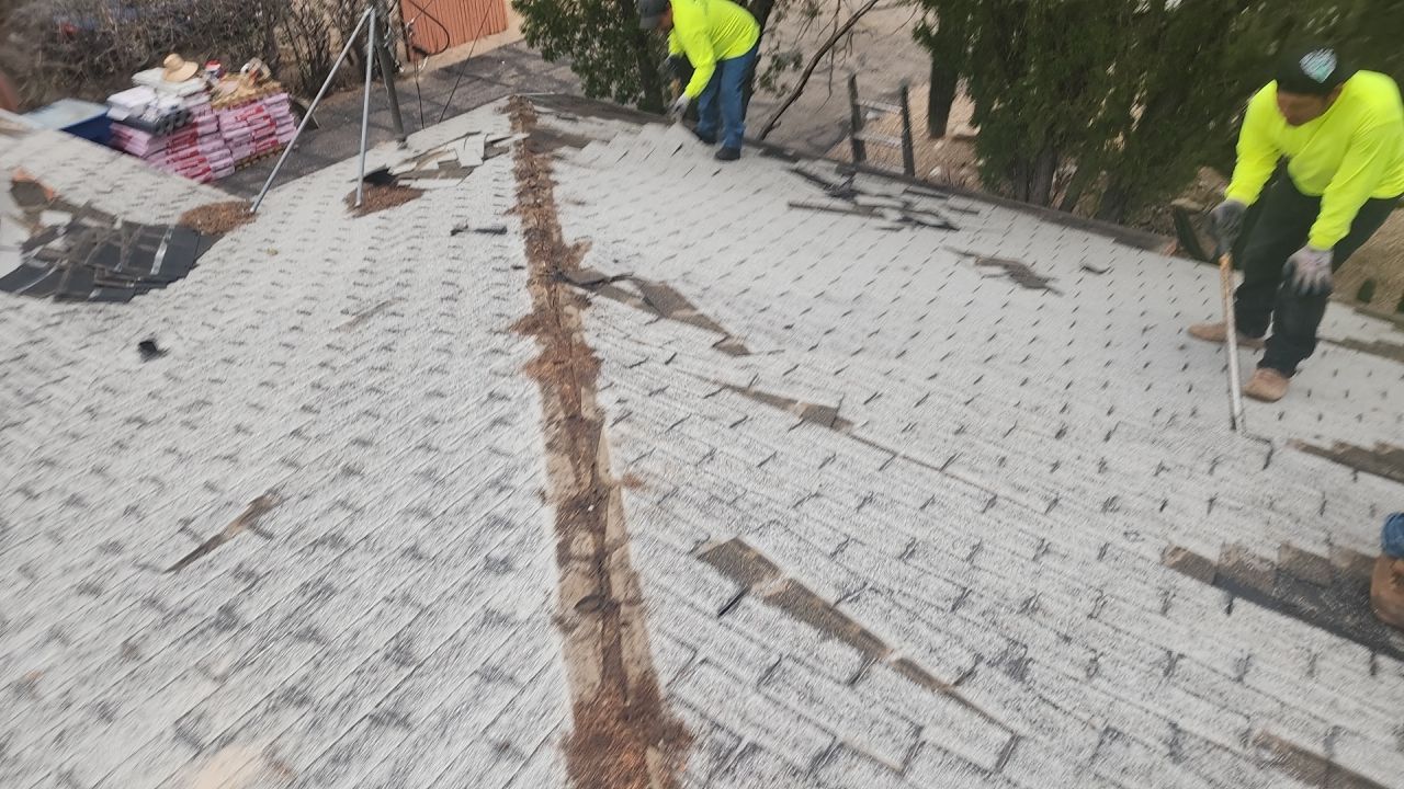 Silver Birch Shingles by Reimagine Roofing